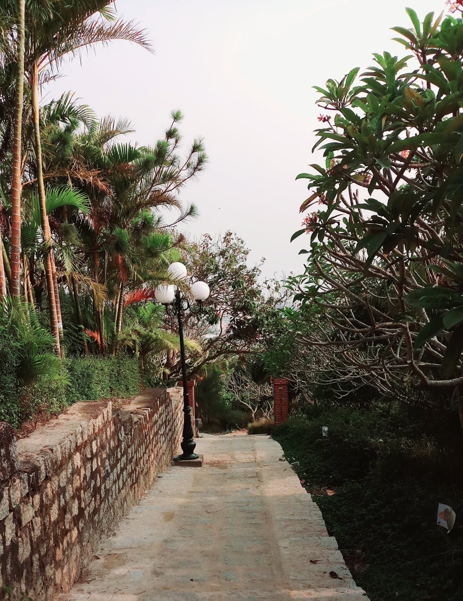 20190916_211627.jpg