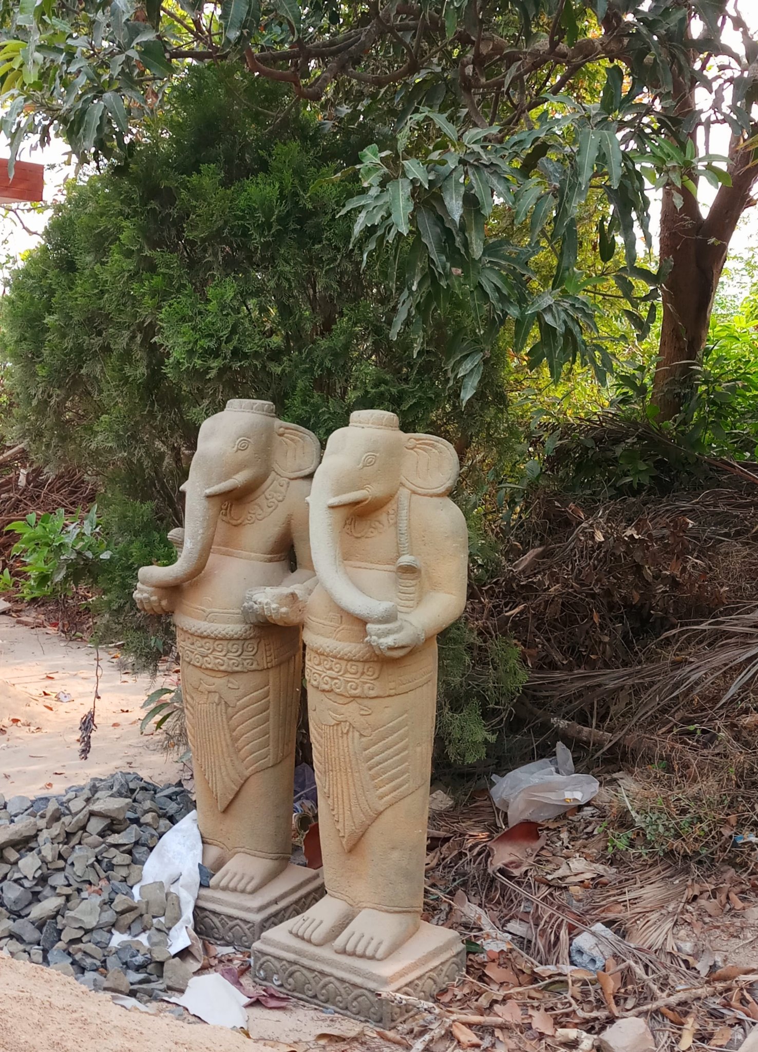 20190916_213942.jpg