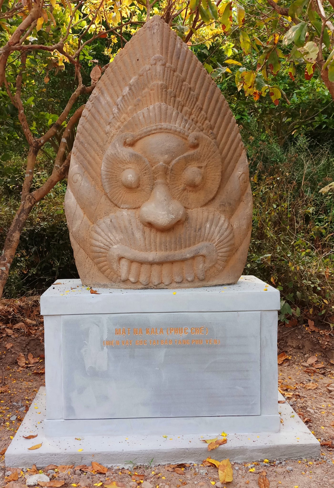 20190916_214230.jpg