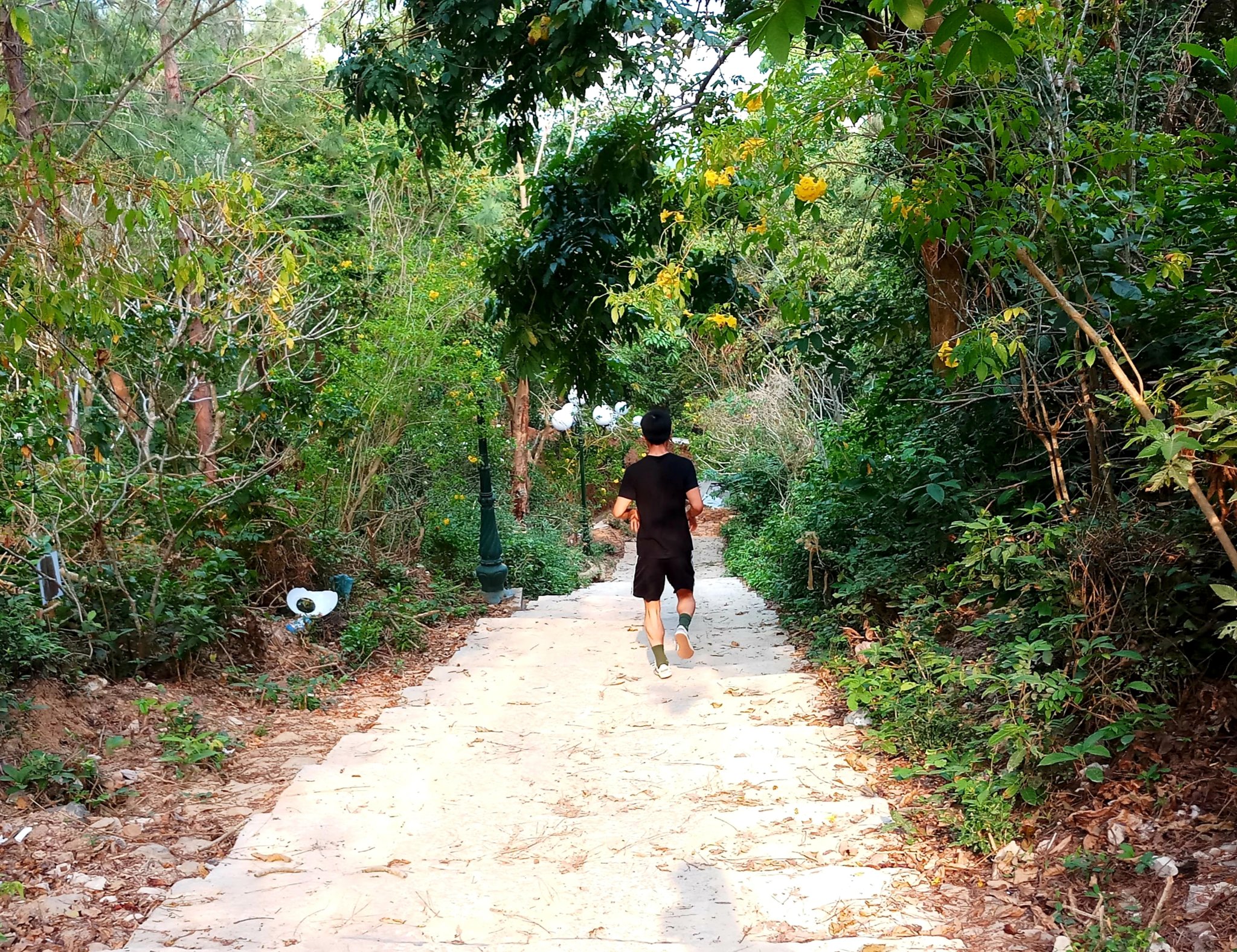 20190917_062517.jpg