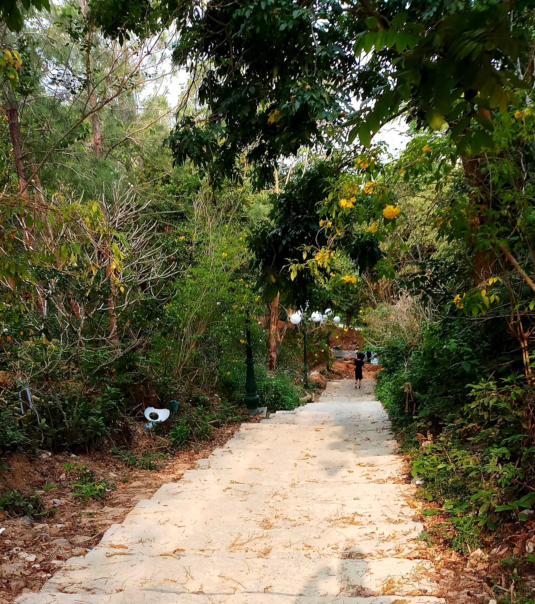 20190917_062545.jpg