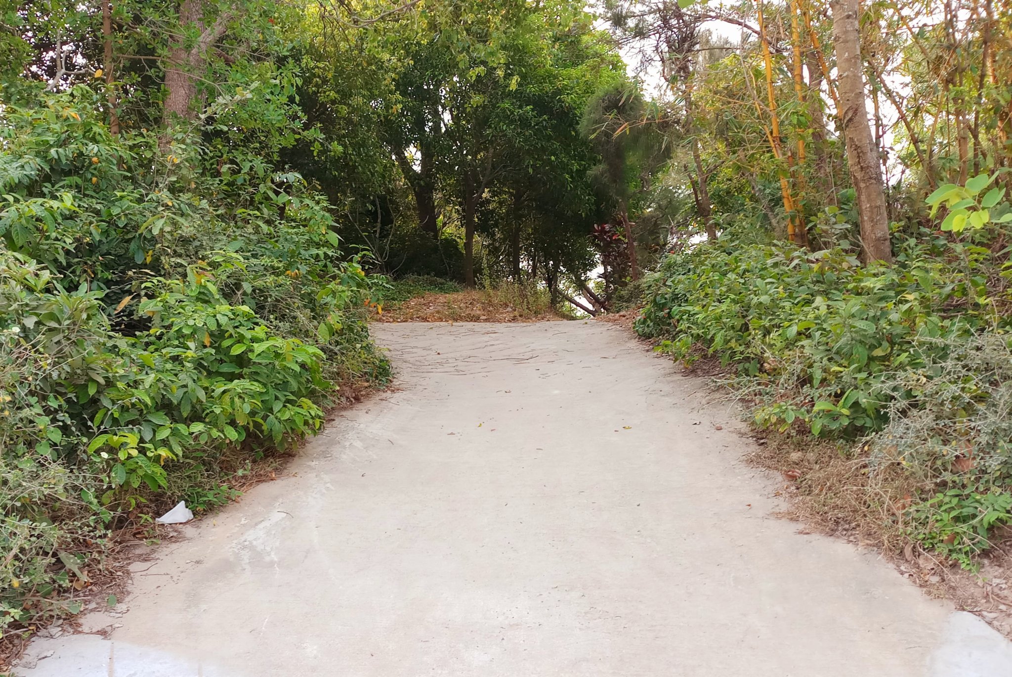 20190917_064023.jpg