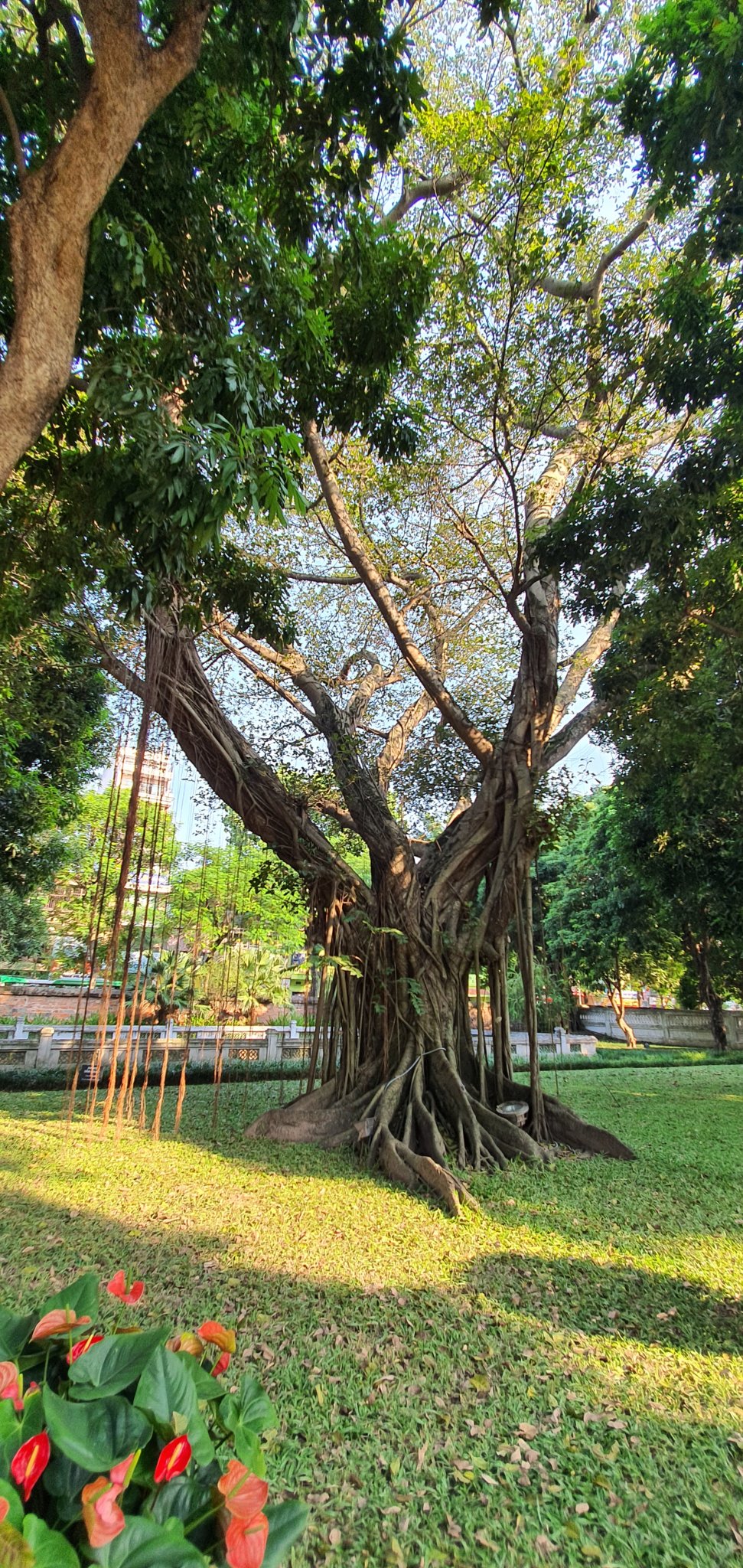 20190924_155539.jpg