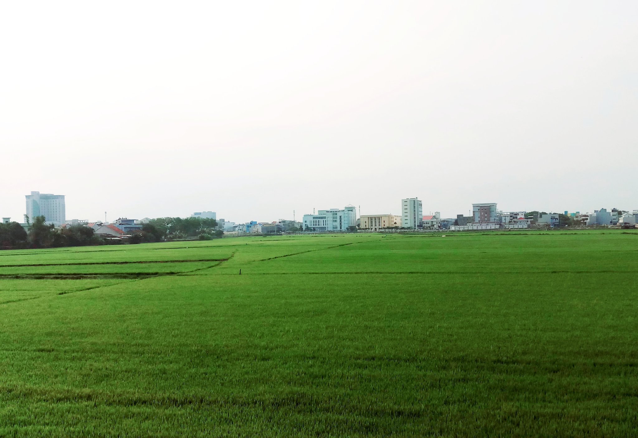 20190924_201906.jpg