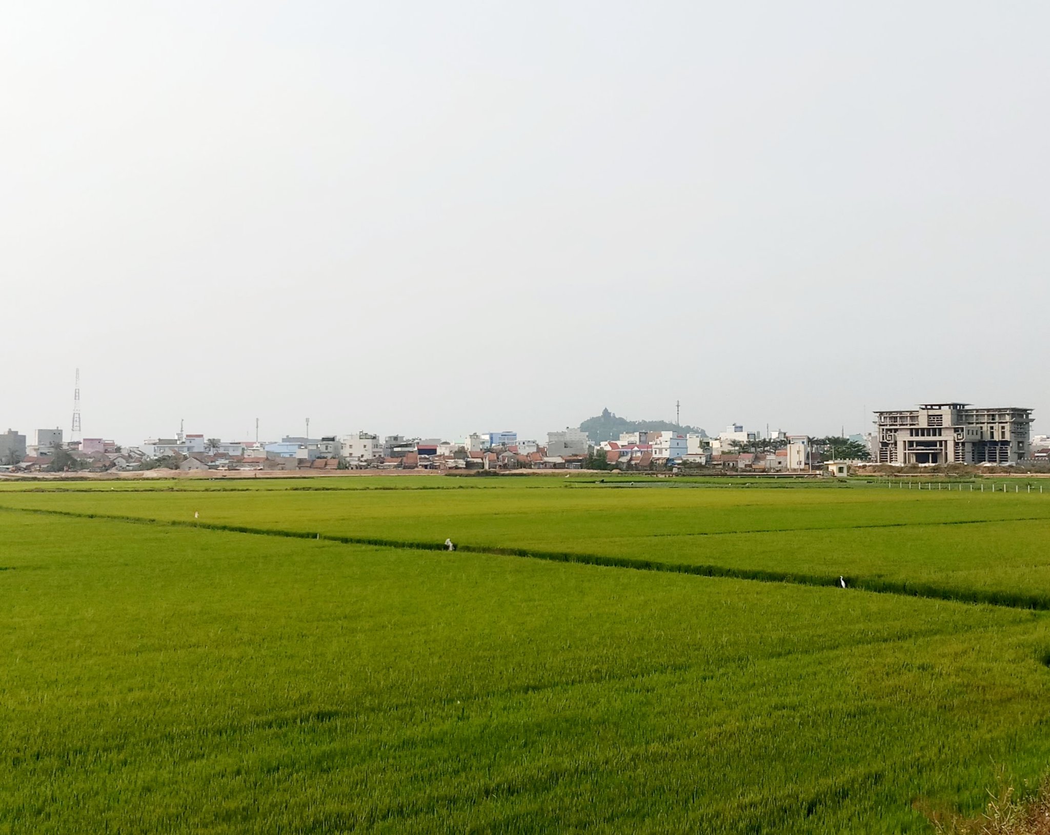 20190924_201958.jpg