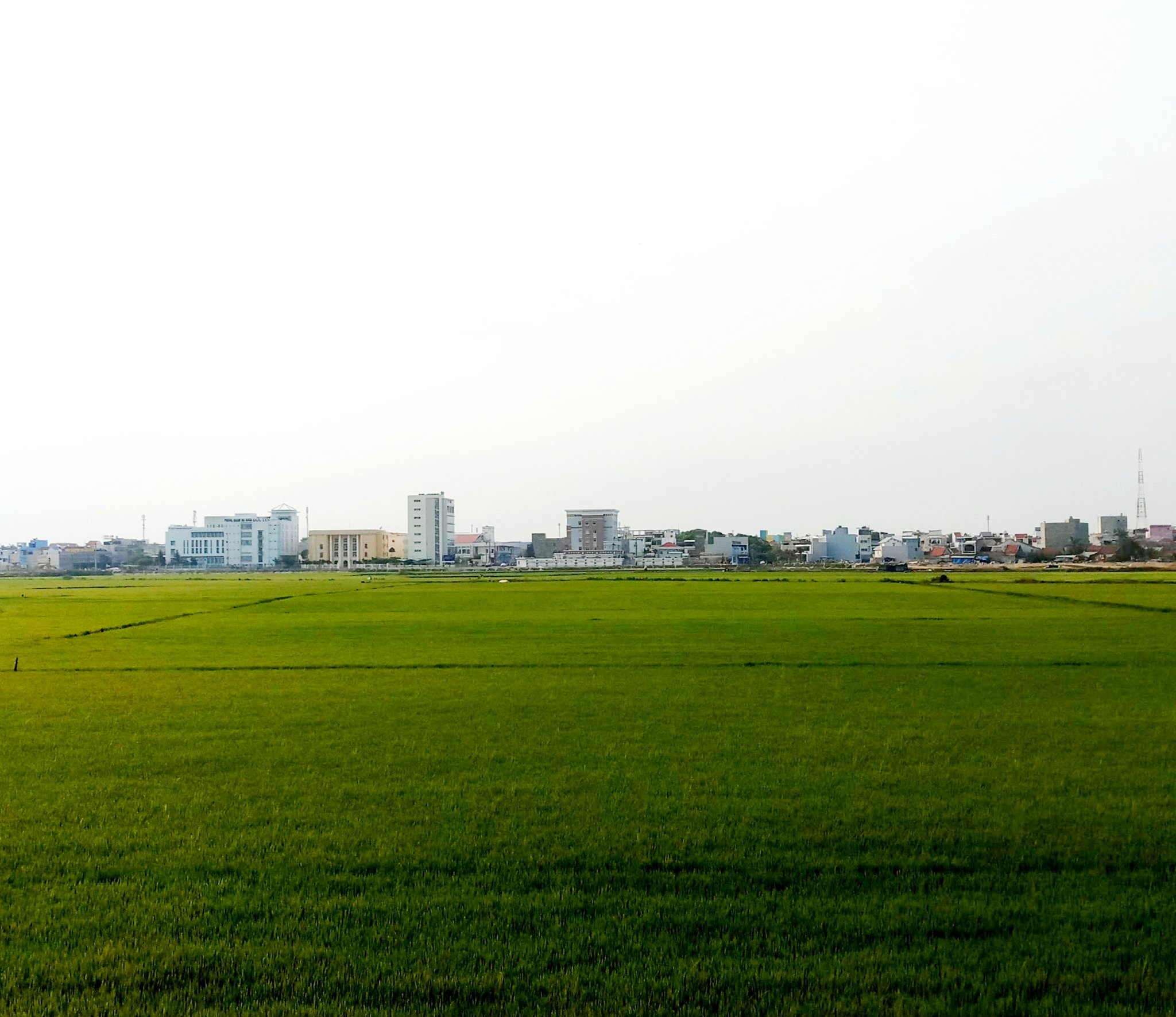 20190924_202044.jpg