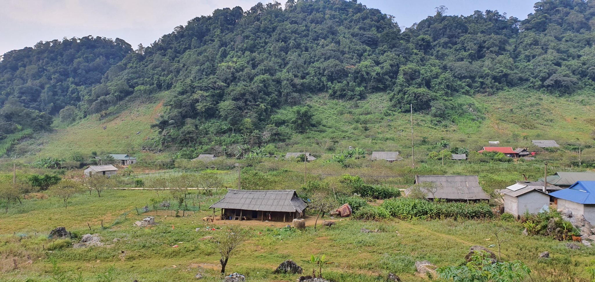 20190925_153611.jpg