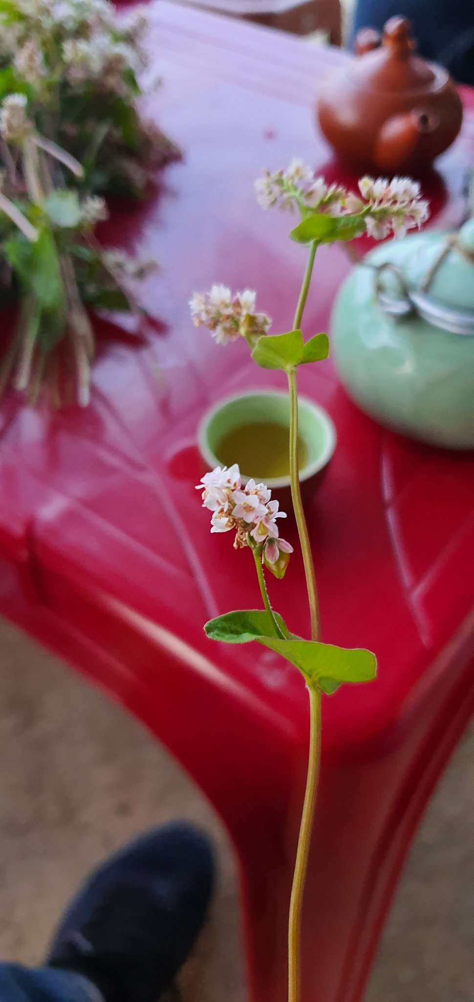 20190925_174519.jpg