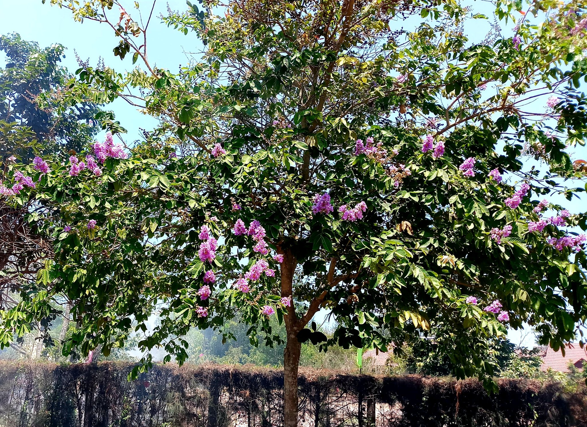 20190925_215833.jpg
