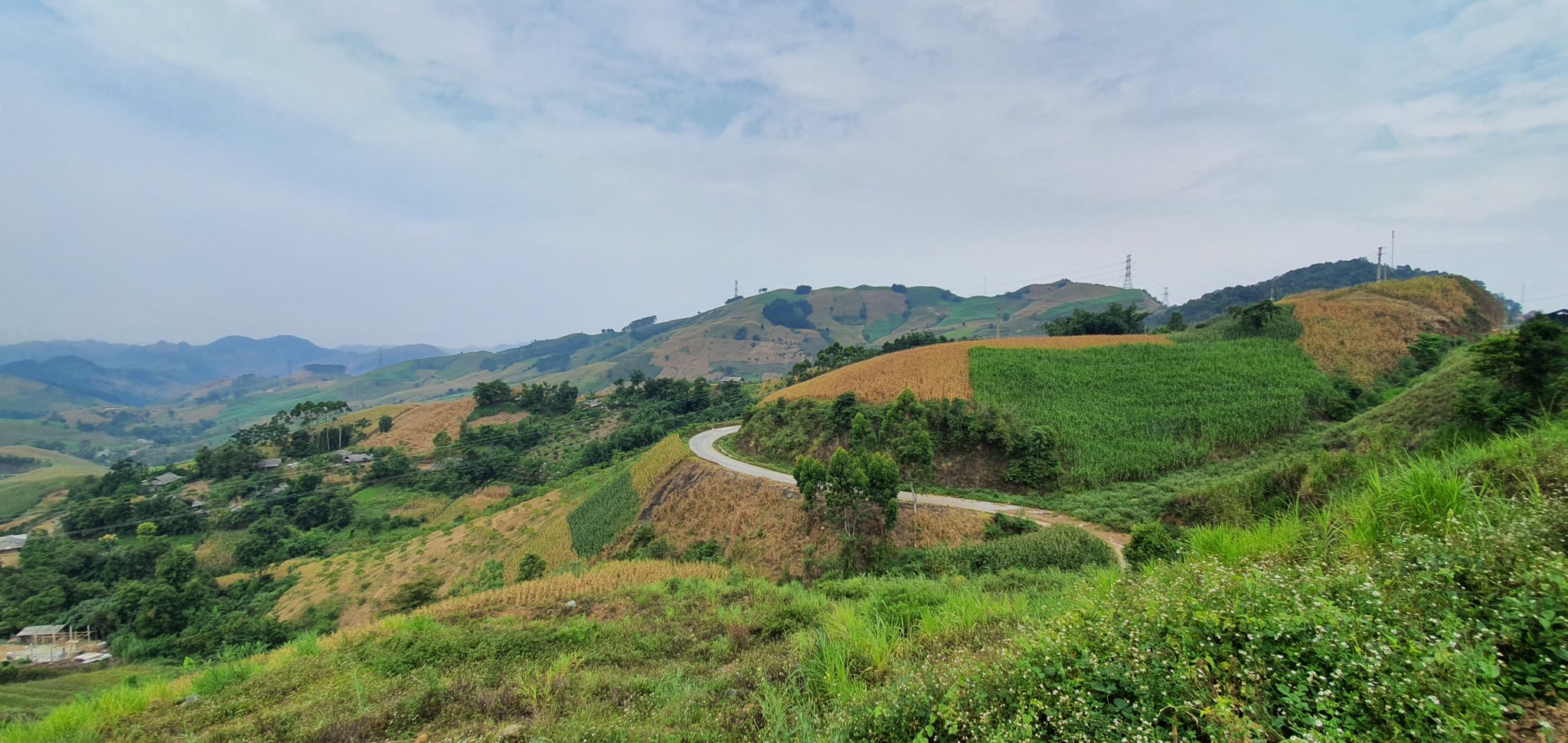 20190926_101325.jpg