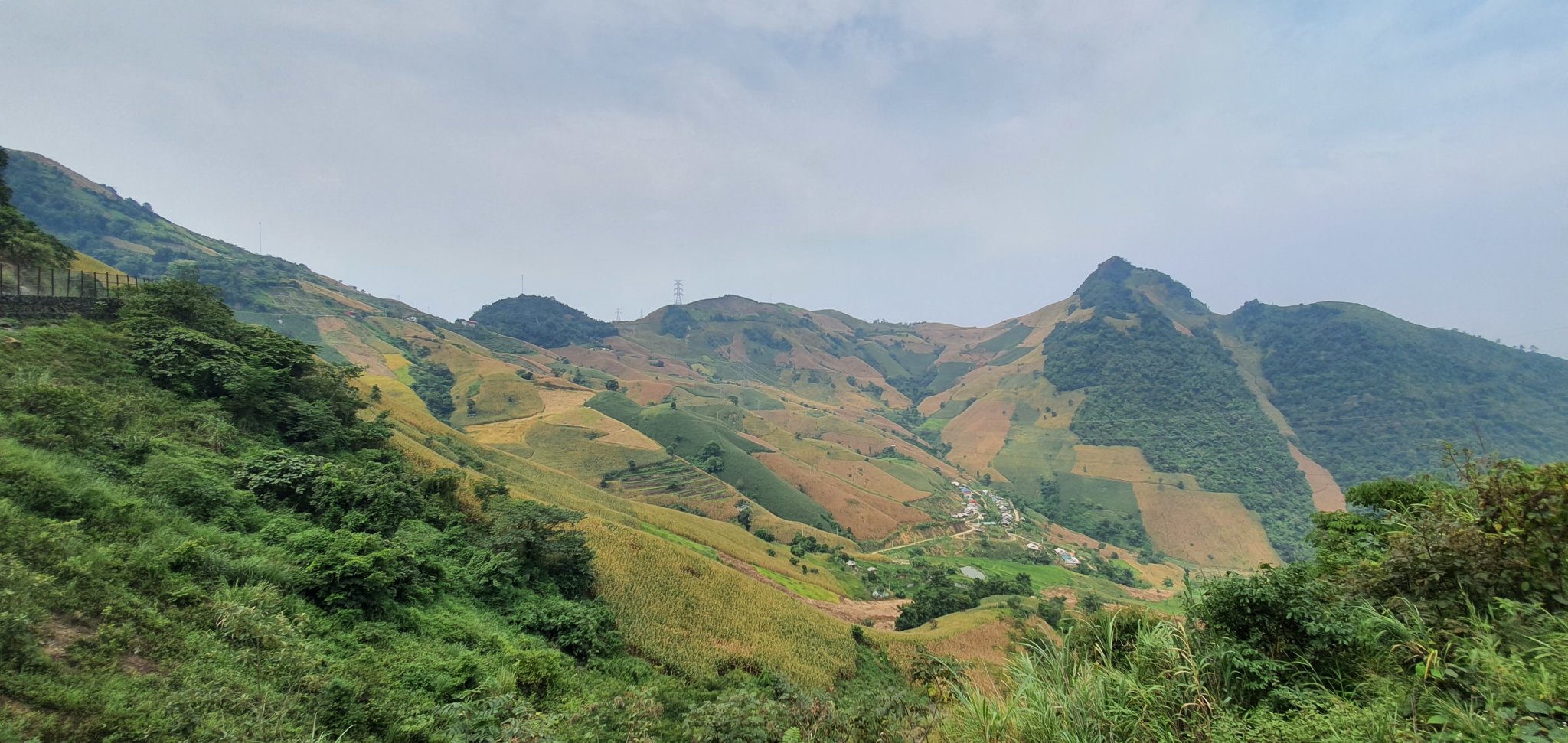 20190926_103808.jpg