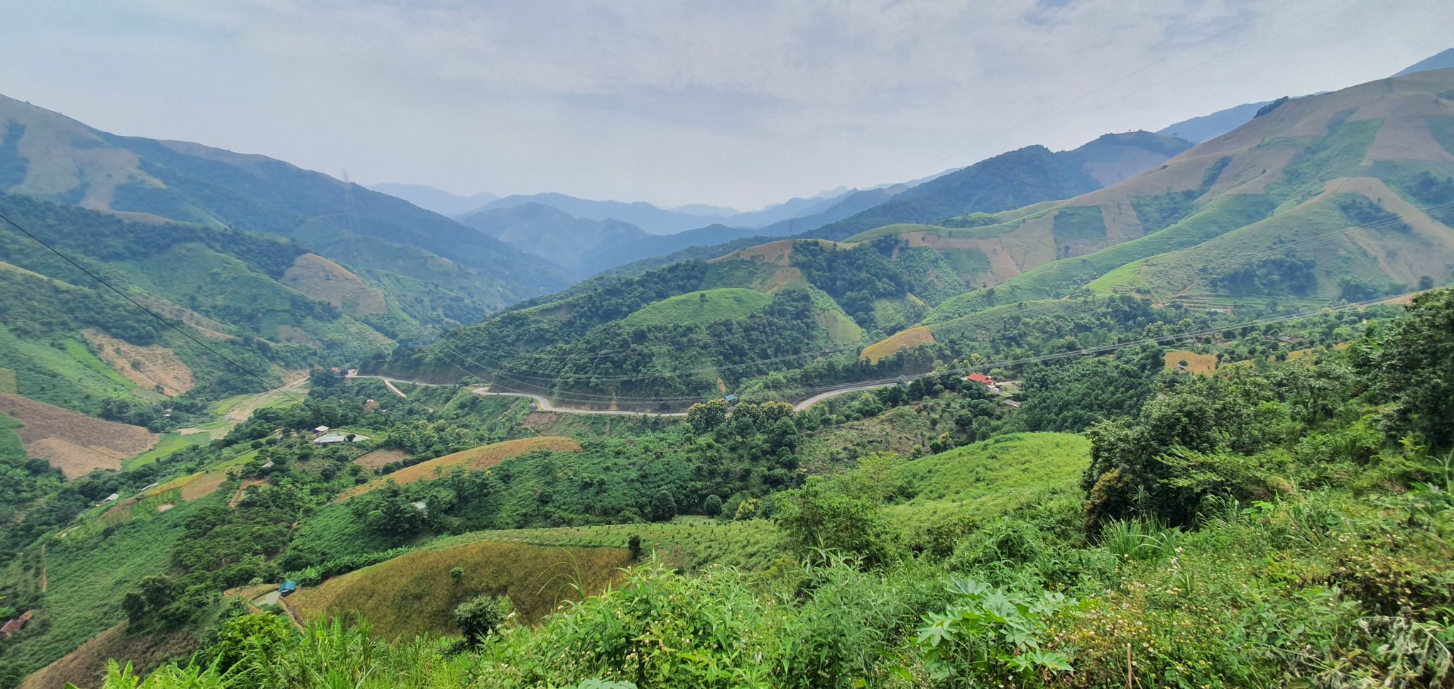 20190926_105334.jpg