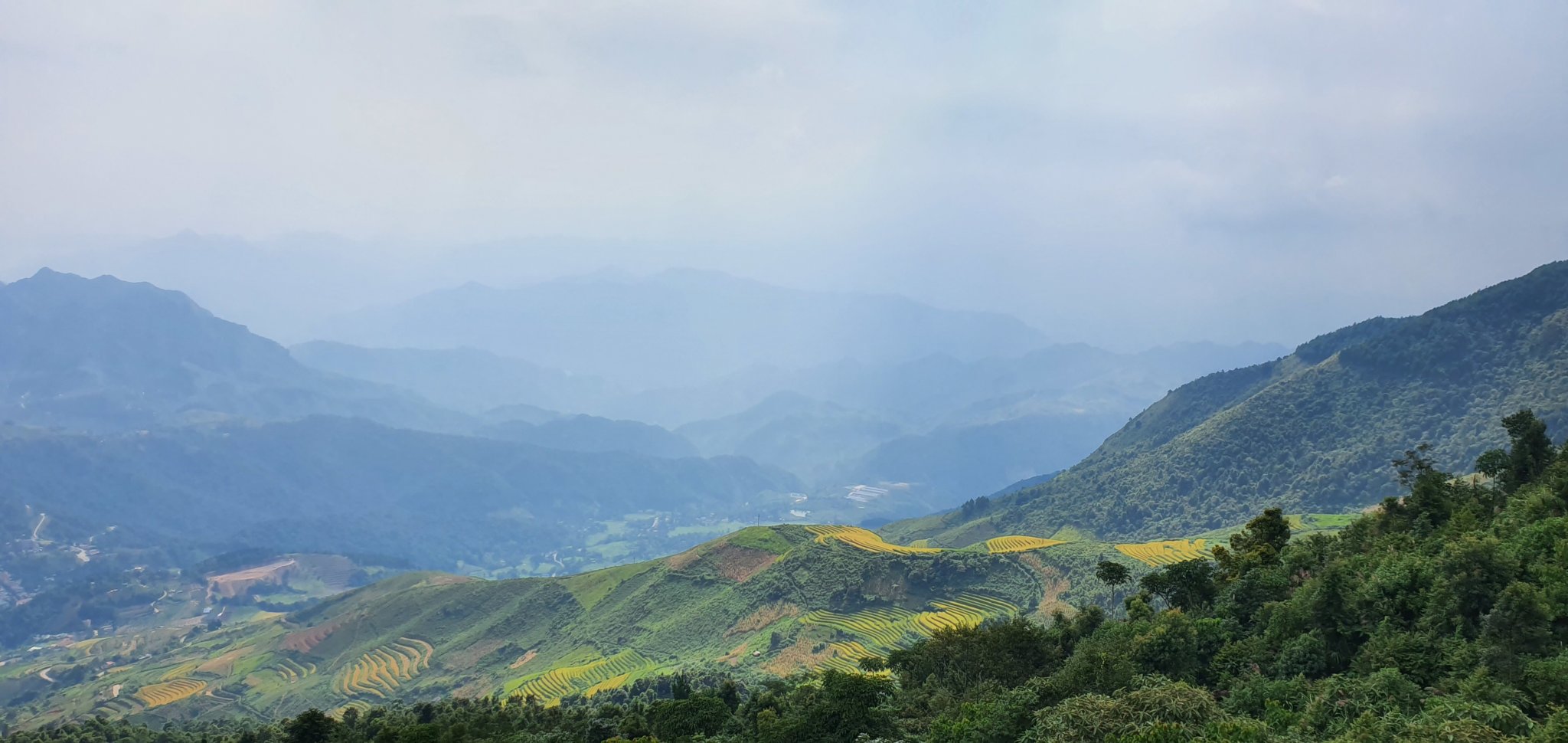 20190926_140737.jpg