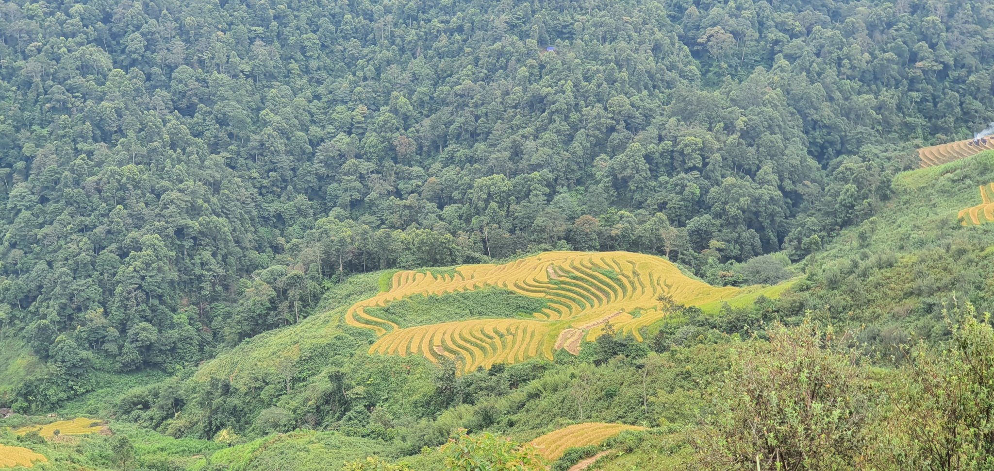 20190926_144535.jpg