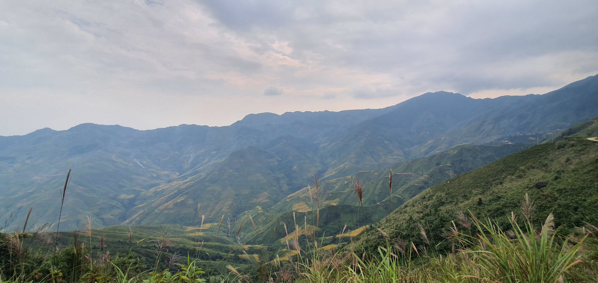 20190926_151647.jpg