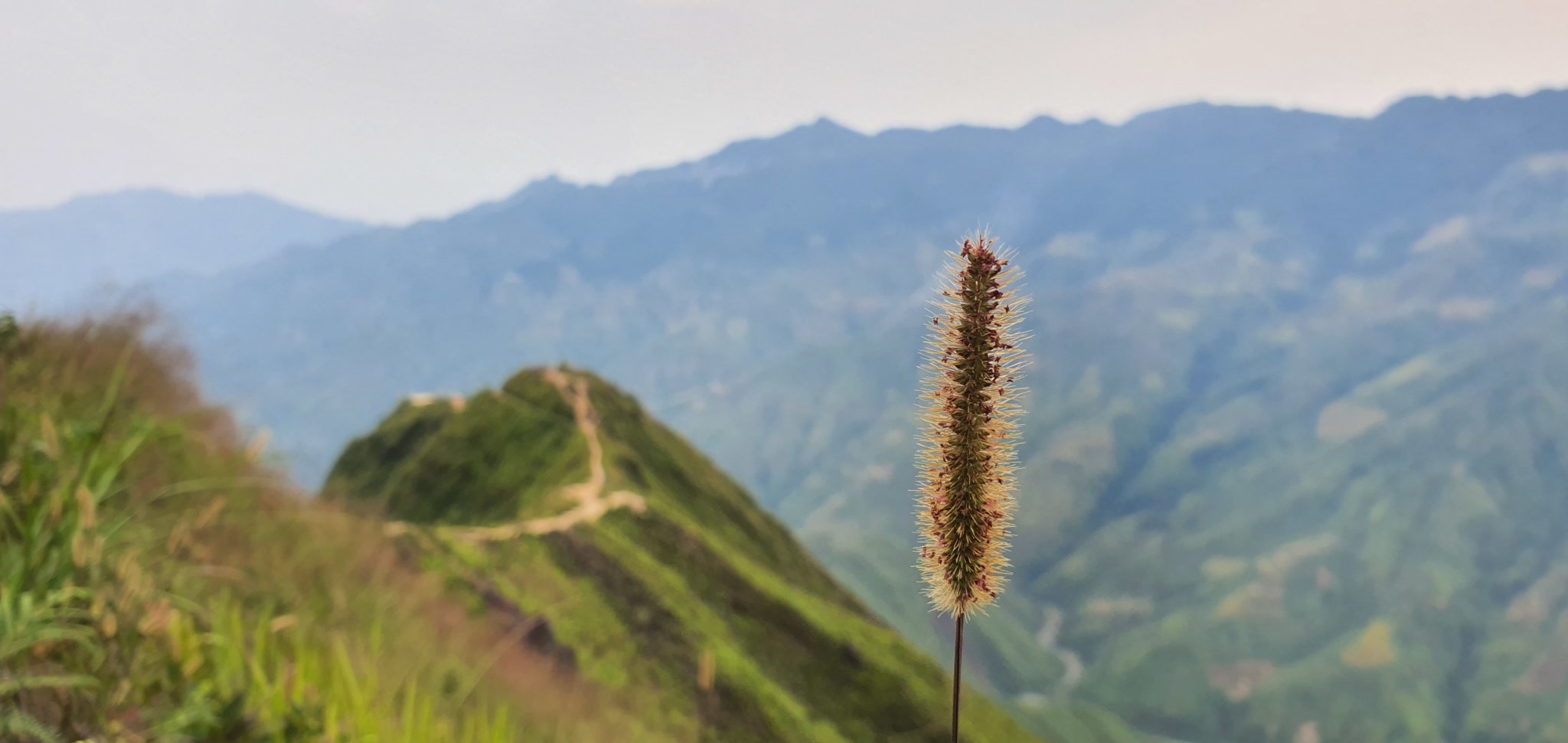 20190926_162754.jpg
