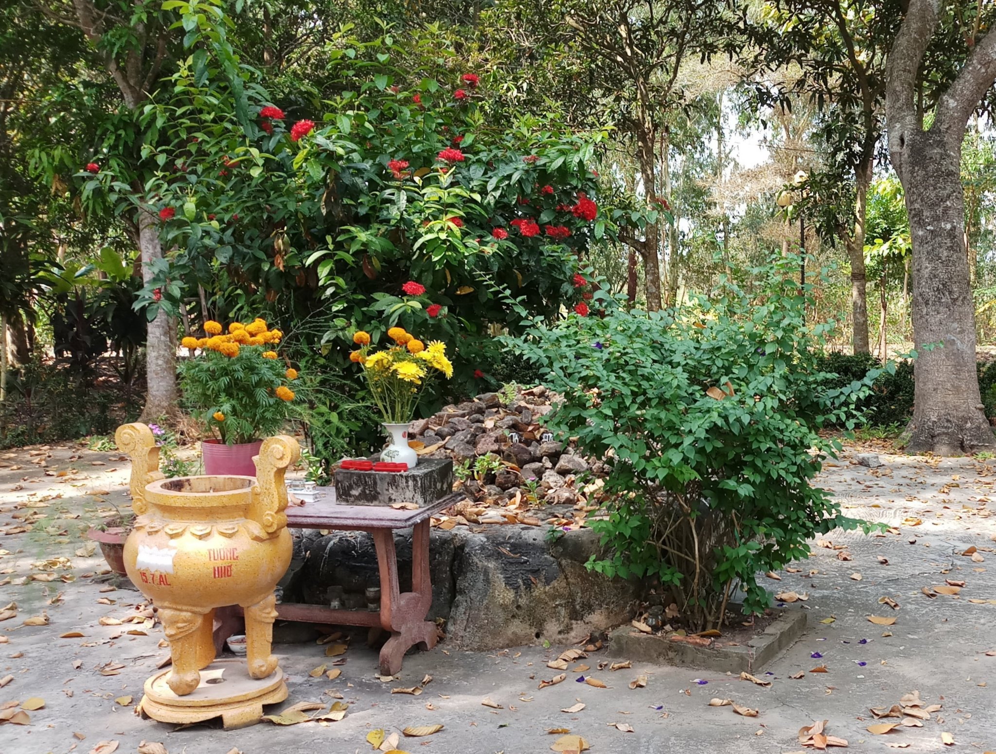 20190926_190122.jpg