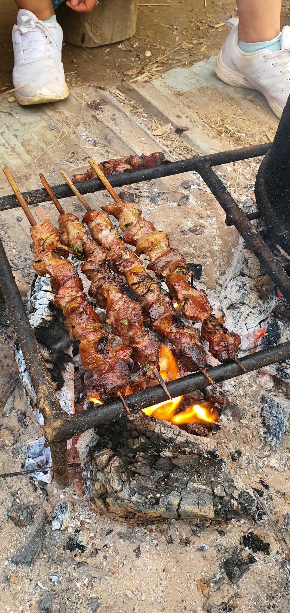 20190927_064534.jpg