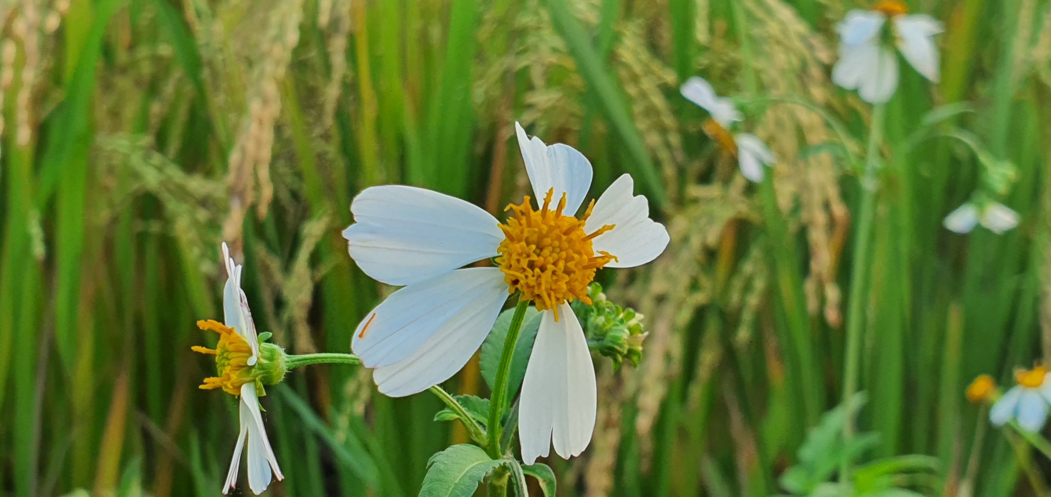 20190927_170745.jpg