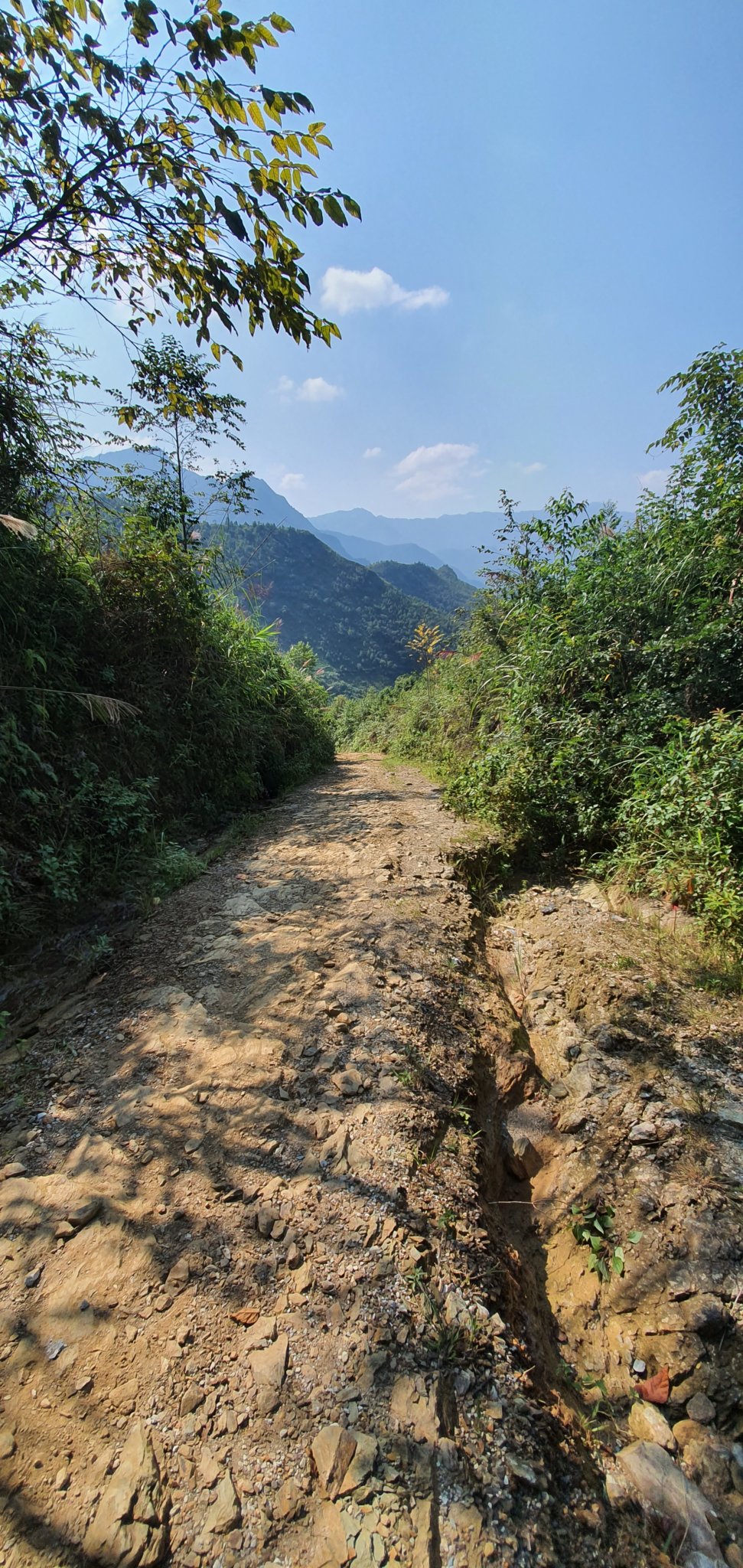 20190928_091550.jpg