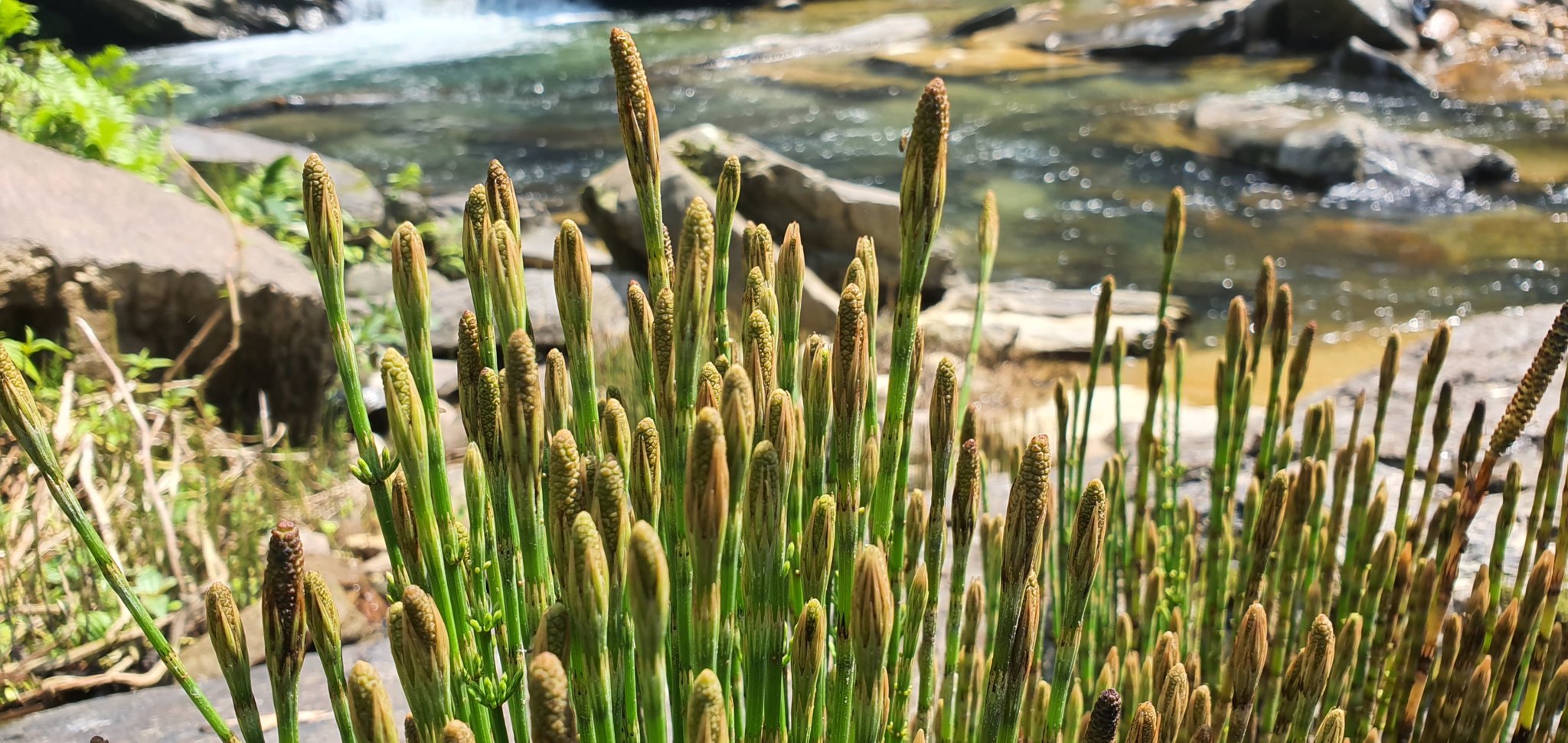 20190928_131042.jpg