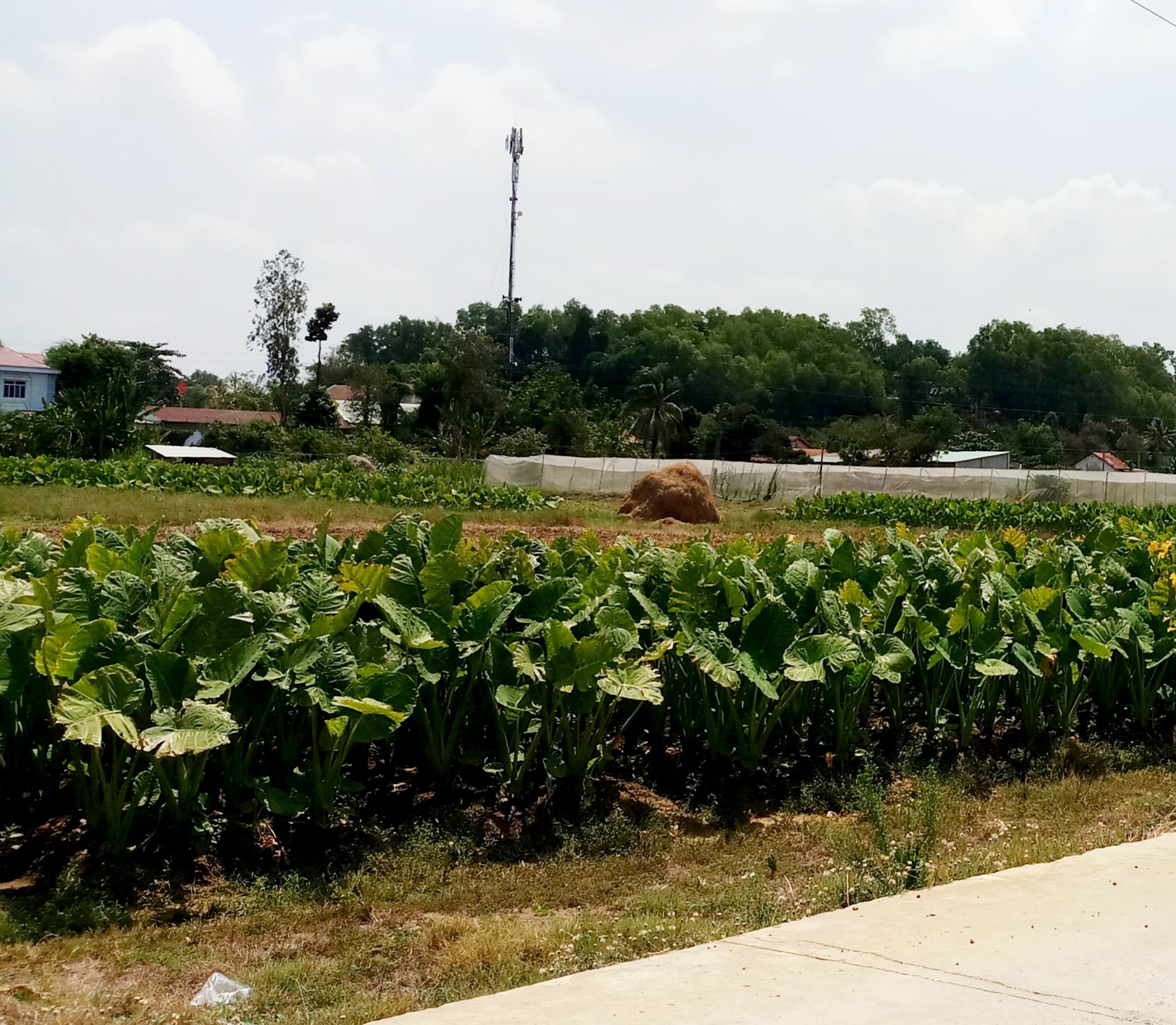 20190929_191623.jpg