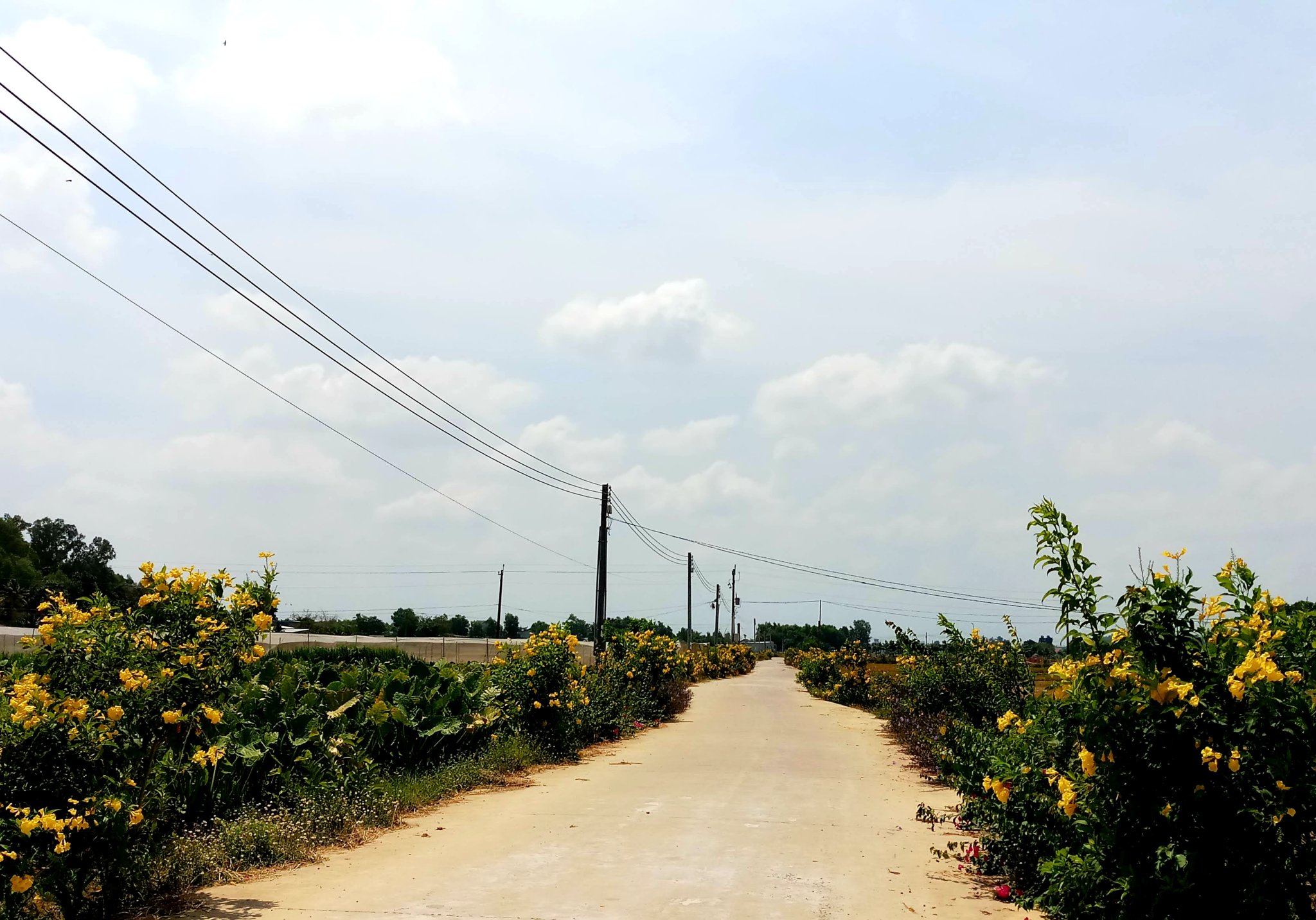 20190929_191754.jpg