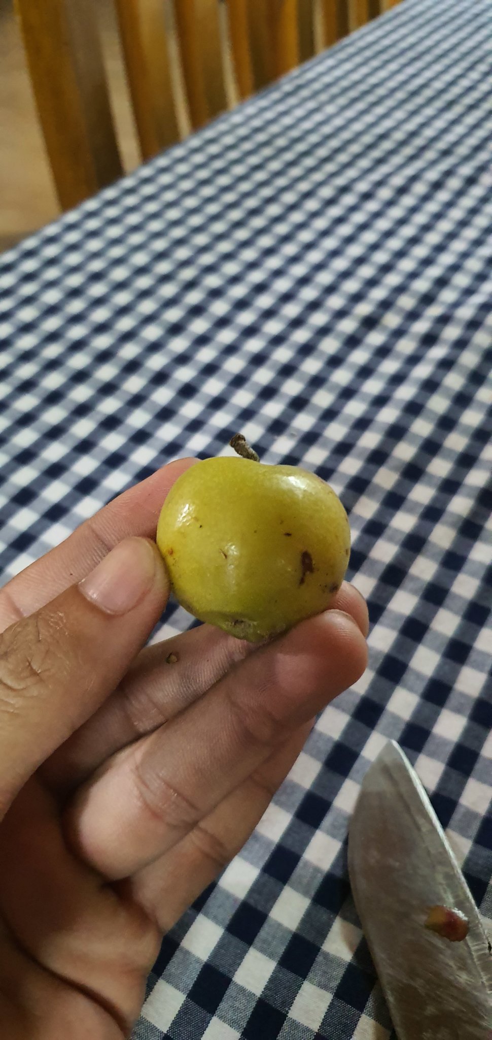 20190930_181335.jpg