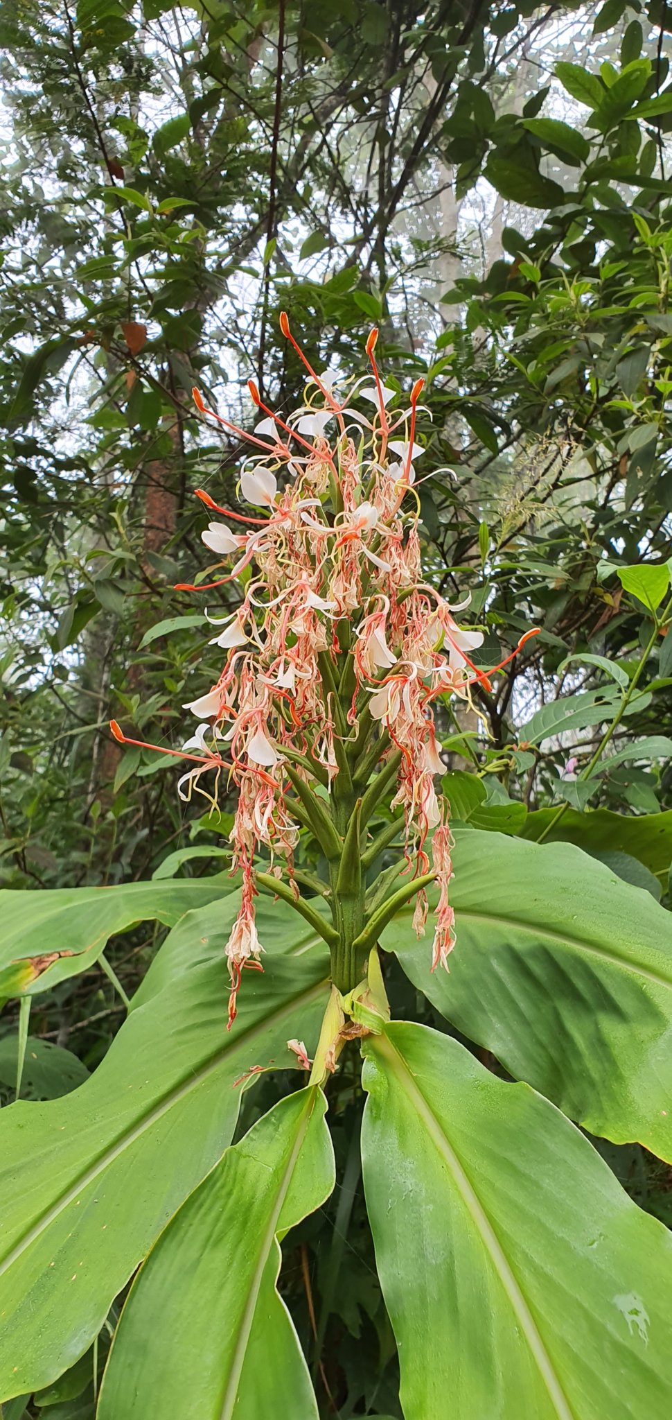 20191004_082140.jpg