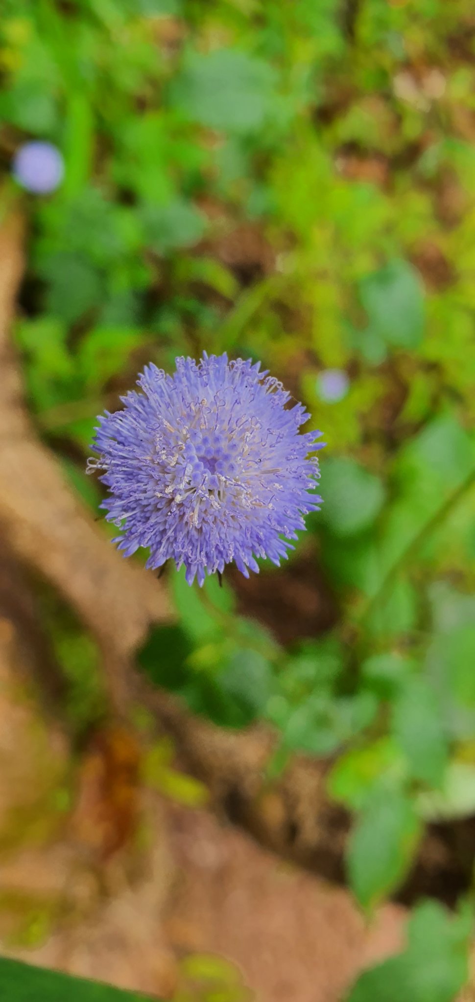 20191004_083026.jpg