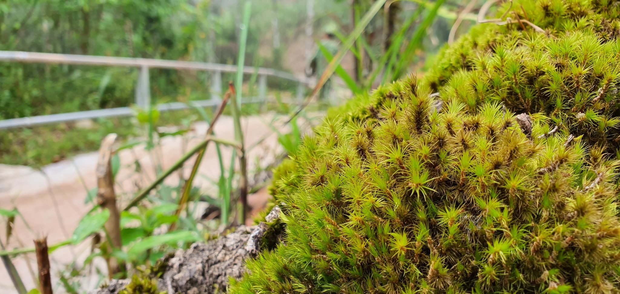 20191004_083402.jpg