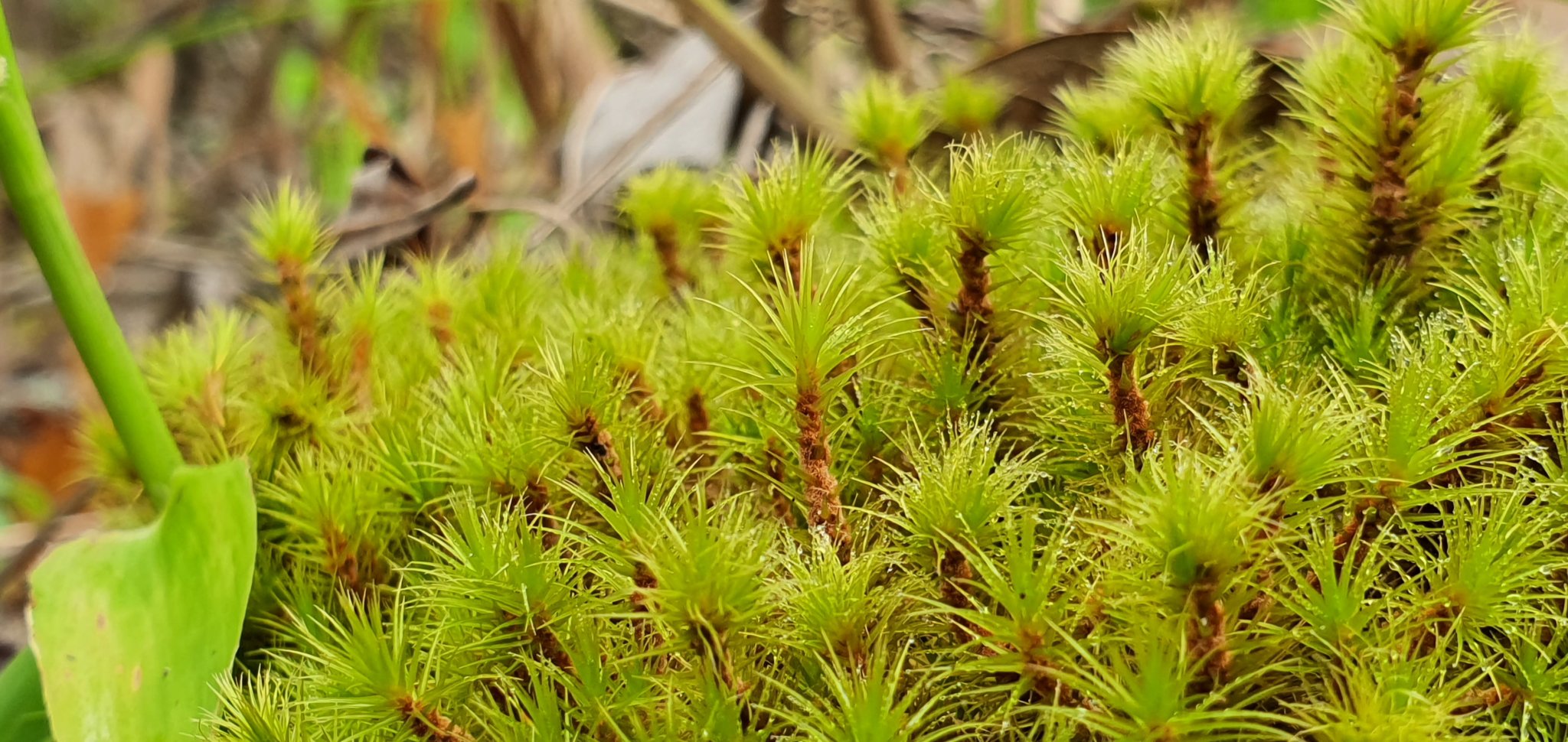 20191004_083430.jpg