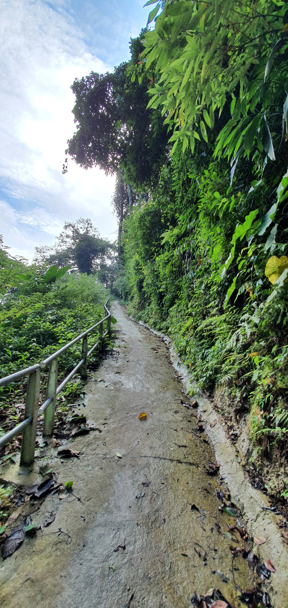 20191004_085312.jpg