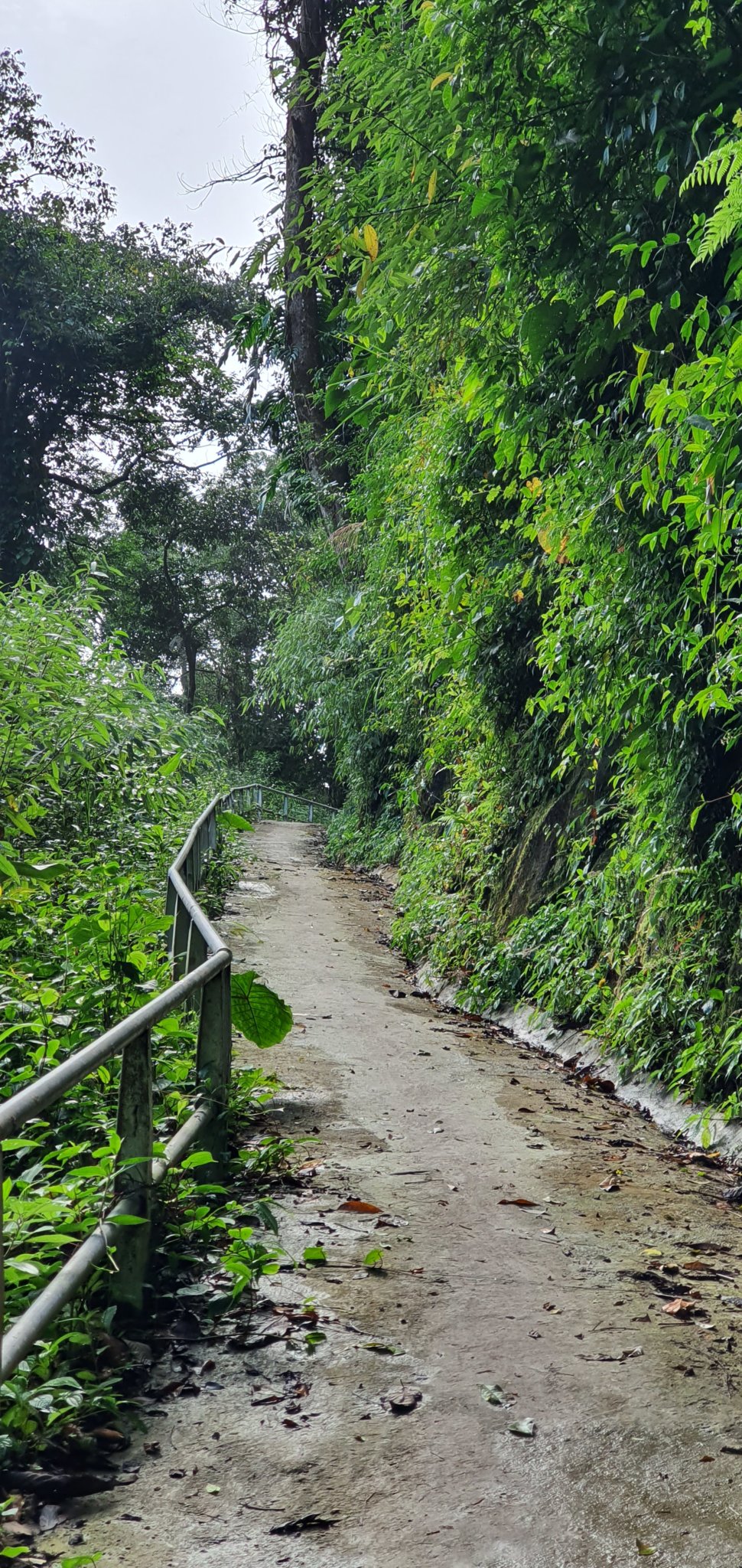 20191004_085318.jpg