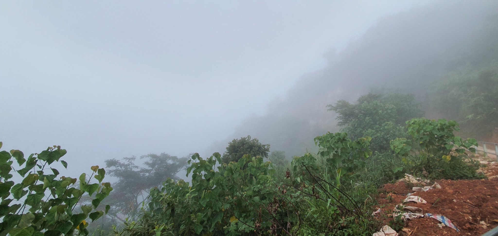 20191004_091753.jpg