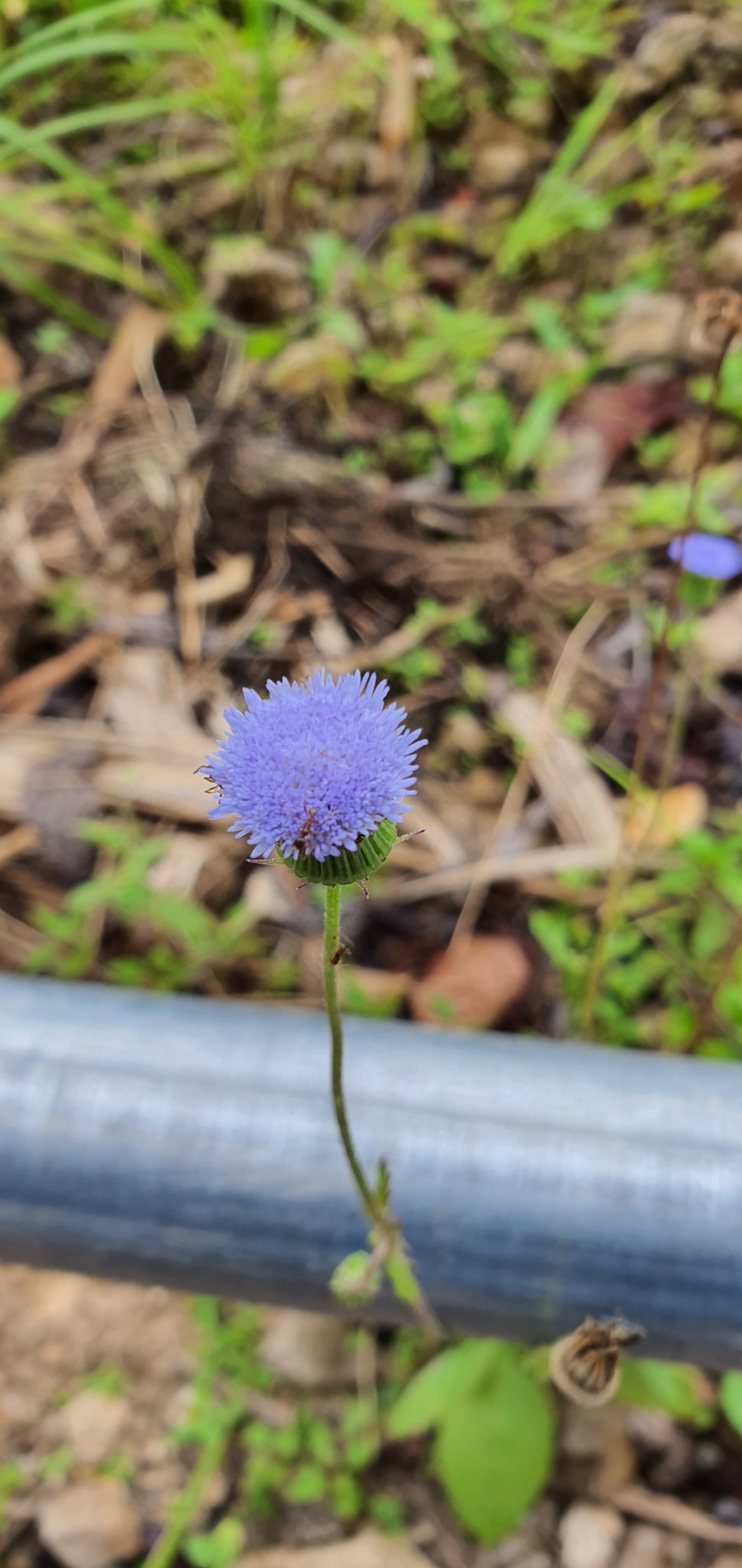 20191004_091935.jpg