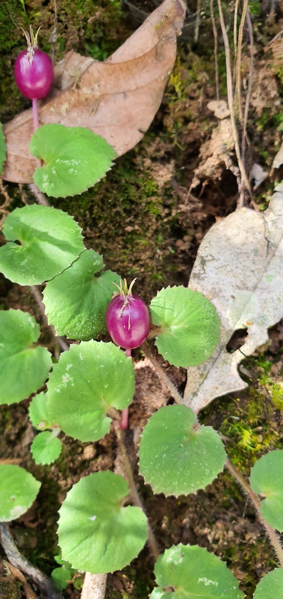 20191004_095619.jpg