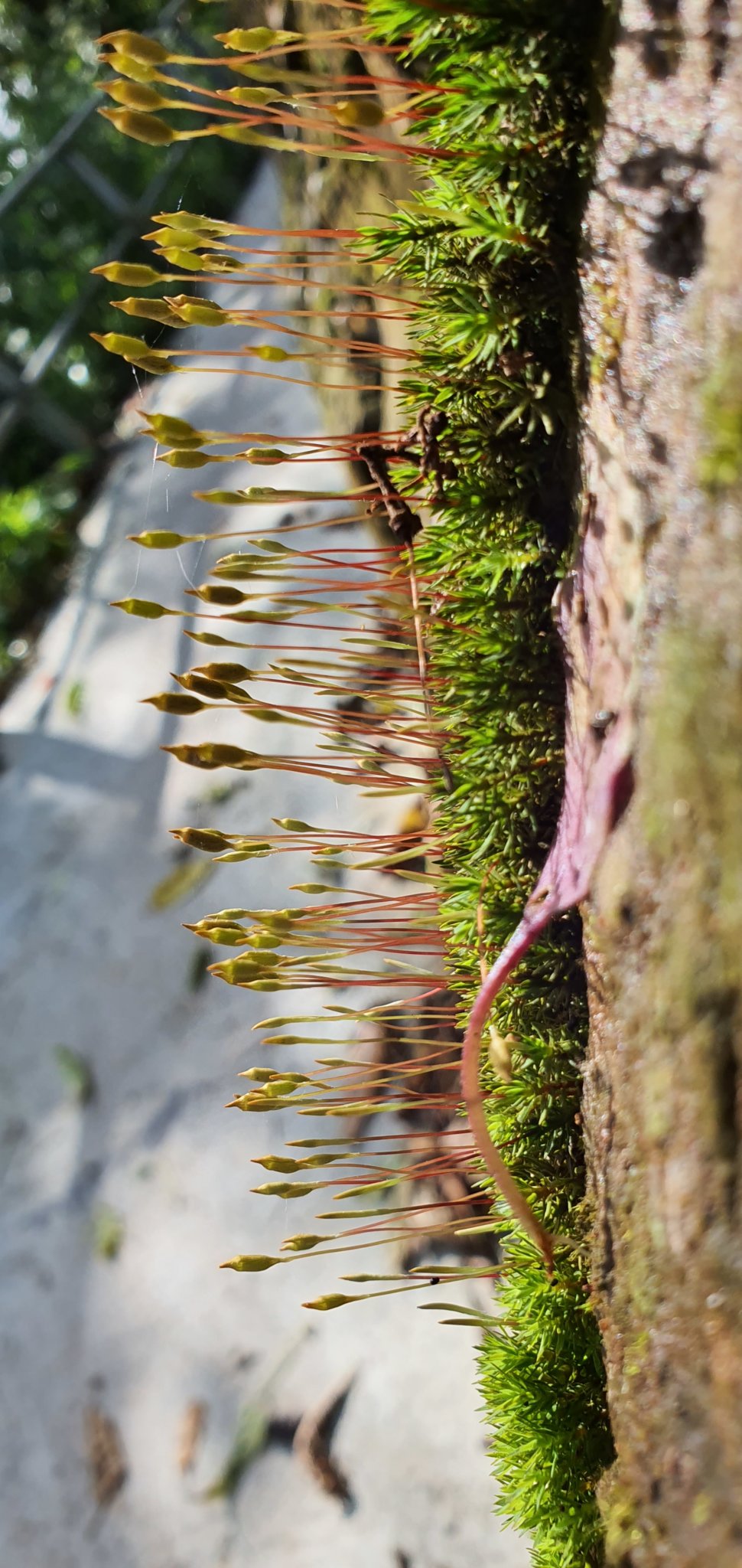 20191004_095702.jpg