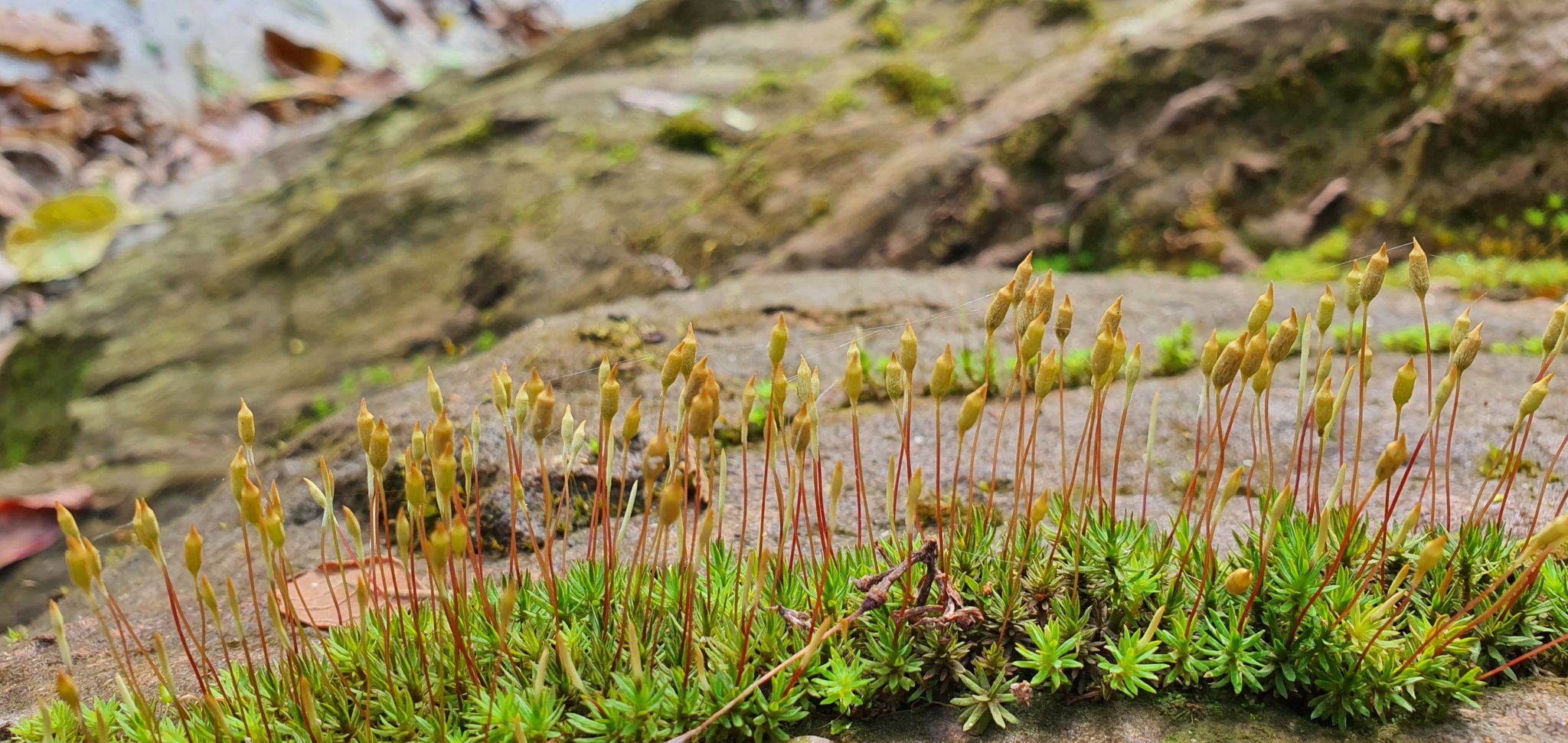 20191004_095722.jpg