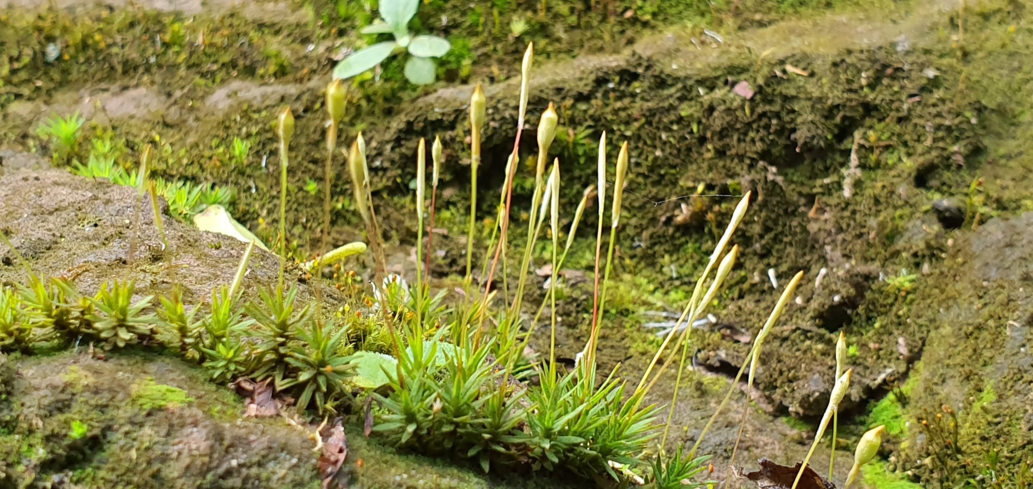 20191004_095737.jpg
