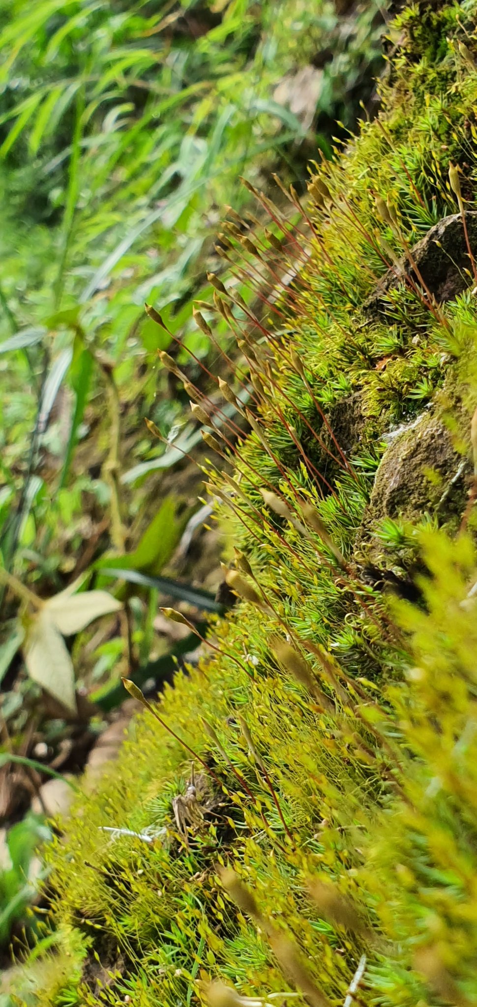 20191004_095834.jpg