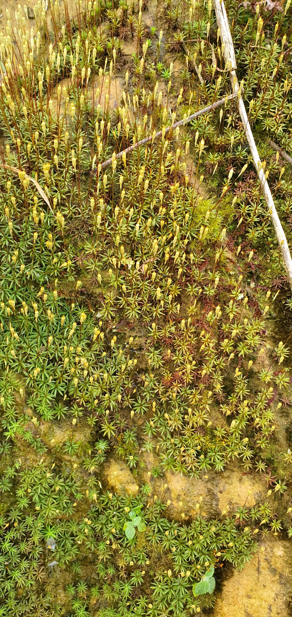 20191004_095936.jpg