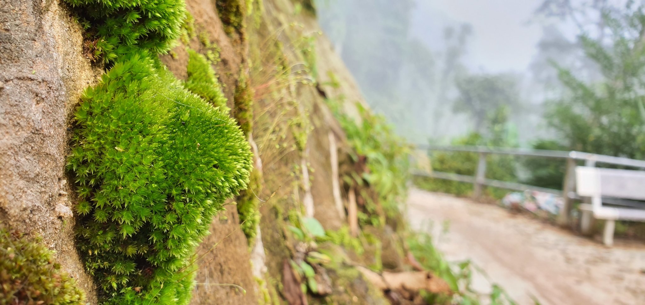 20191004_100234.jpg
