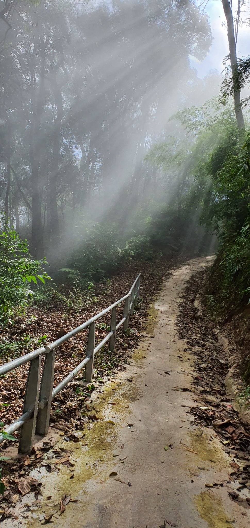 20191004_101358.jpg