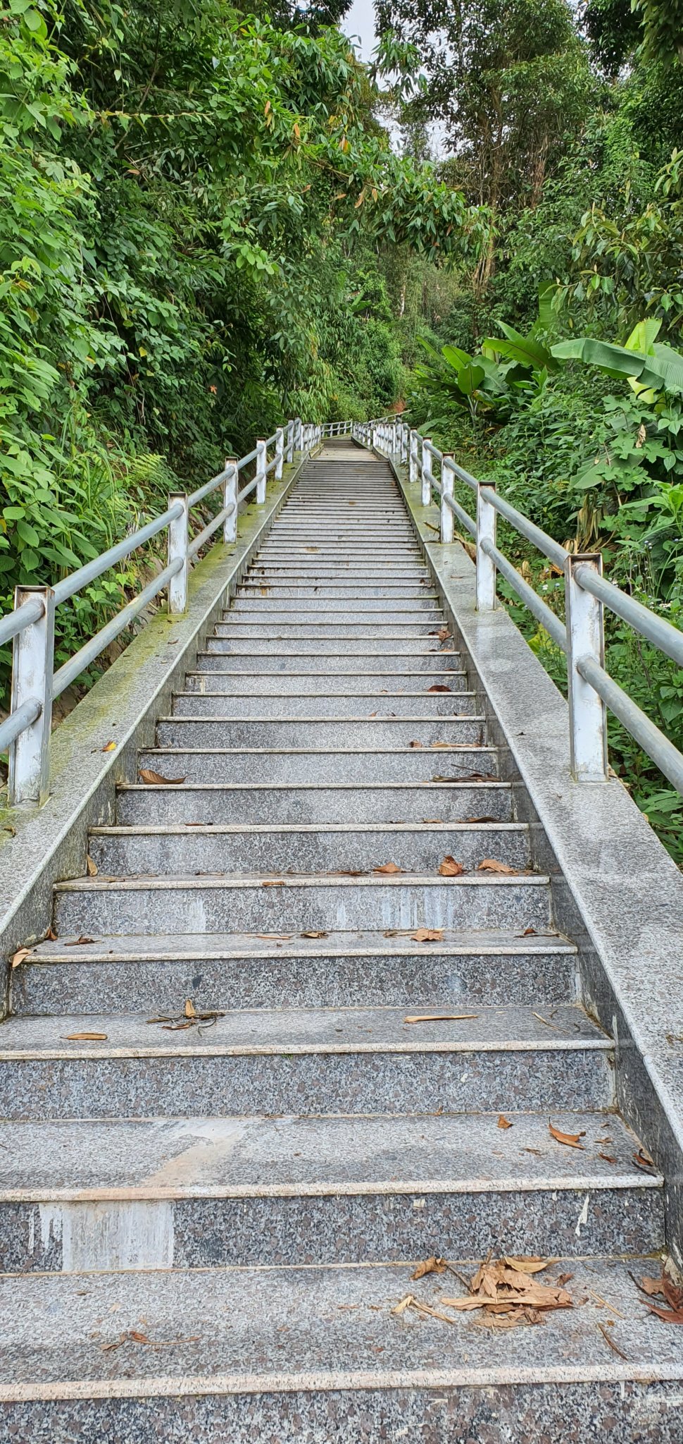 20191004_102657.jpg