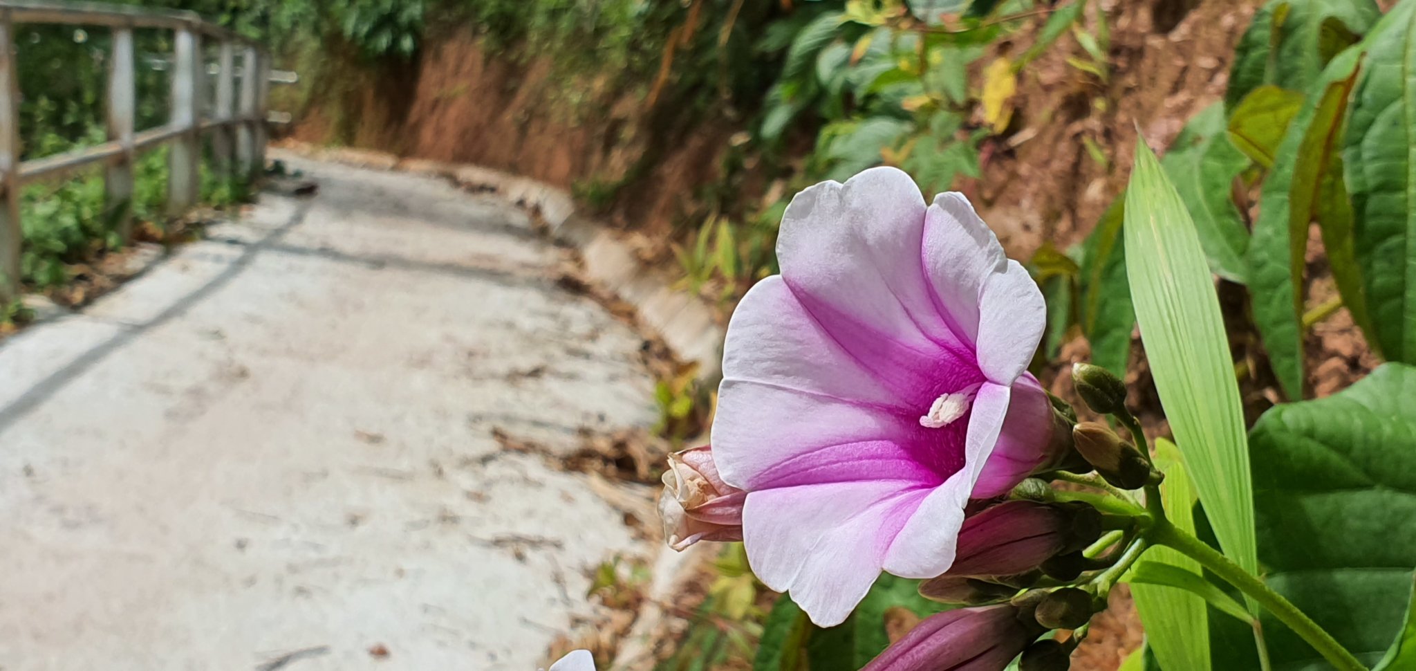 20191004_112526.jpg