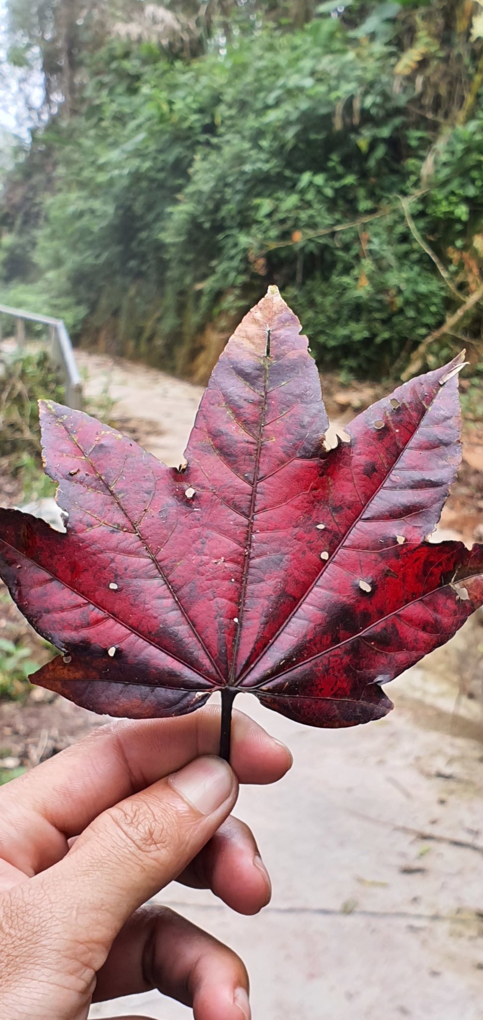 20191004_121146.jpg