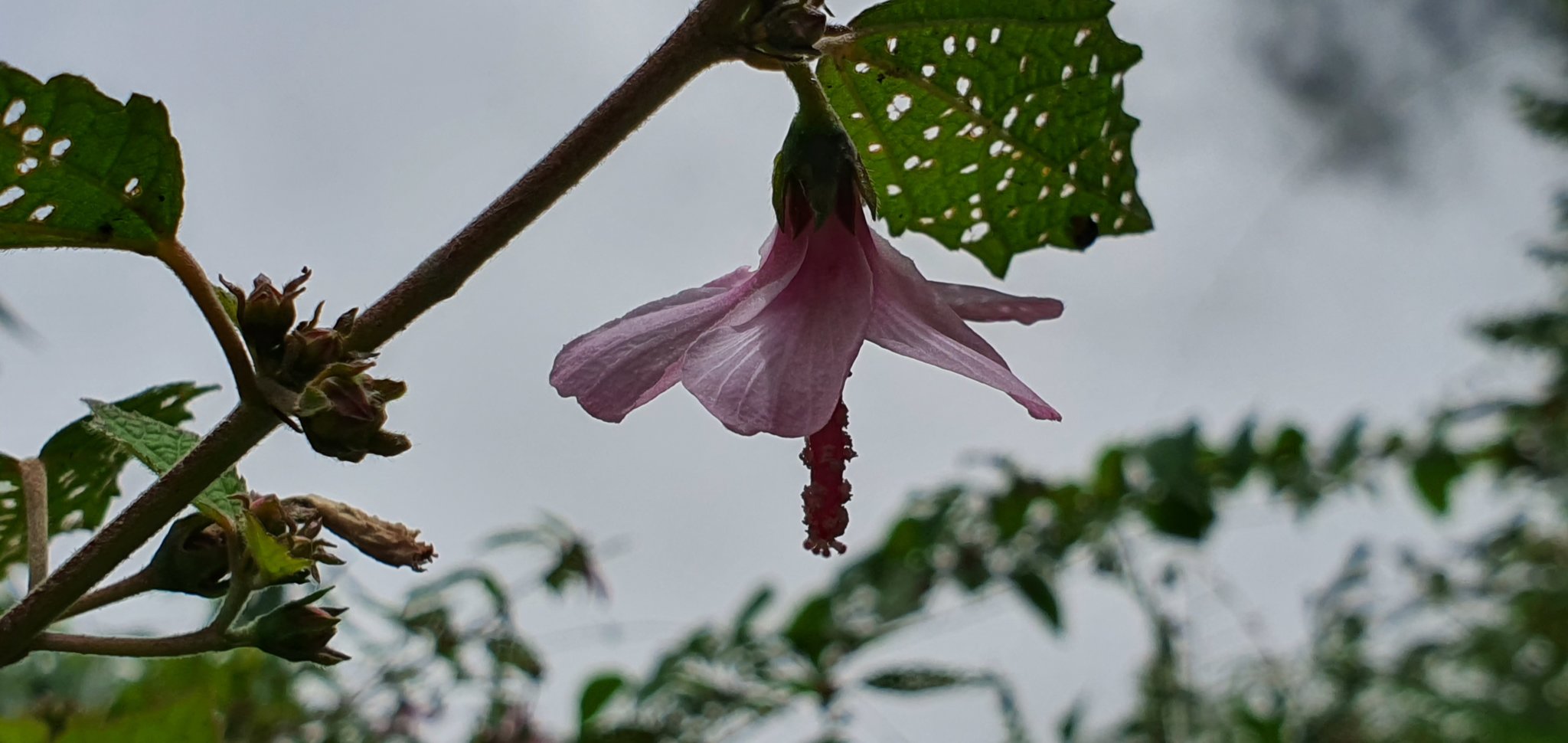 20191004_123030.jpg
