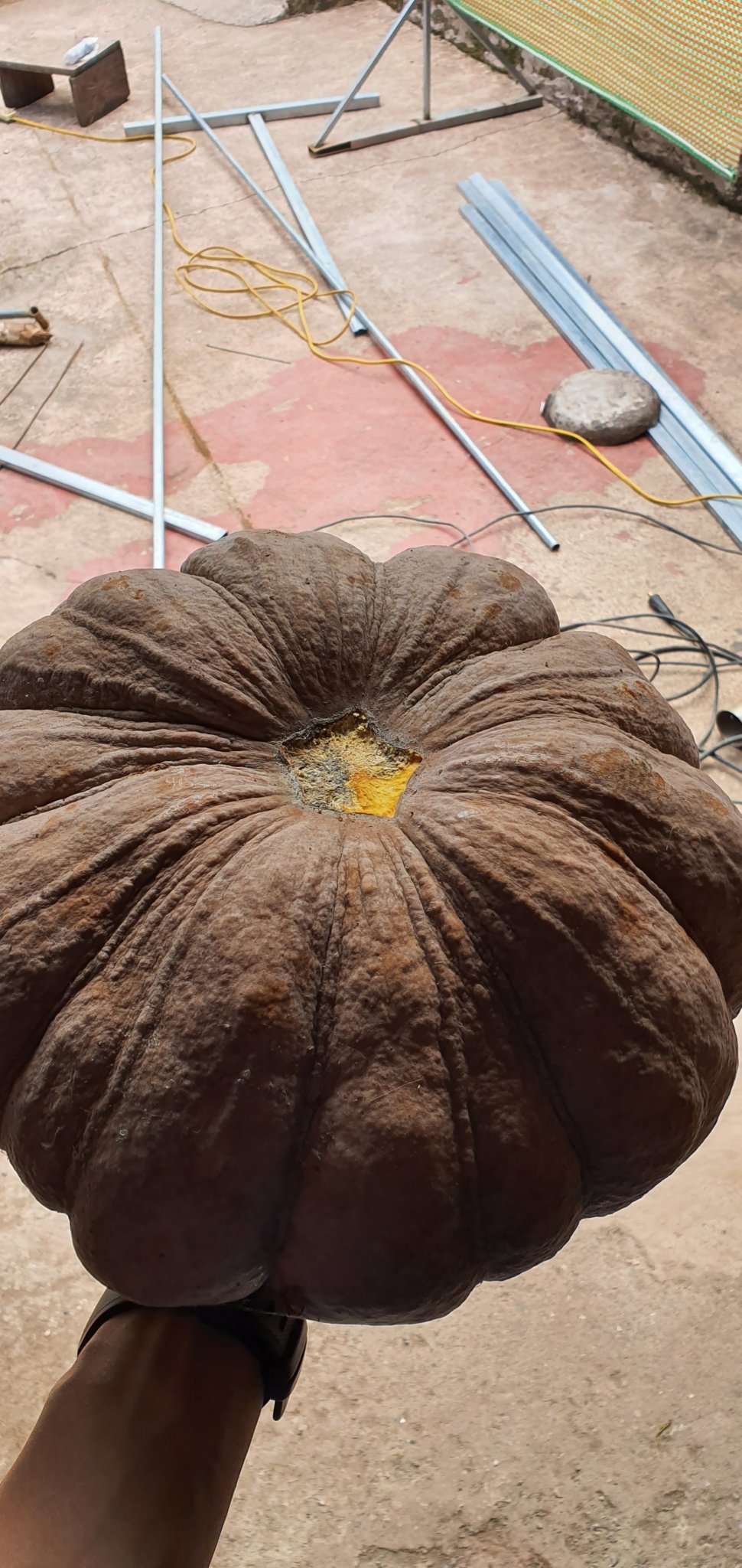 20191004_133729.jpg