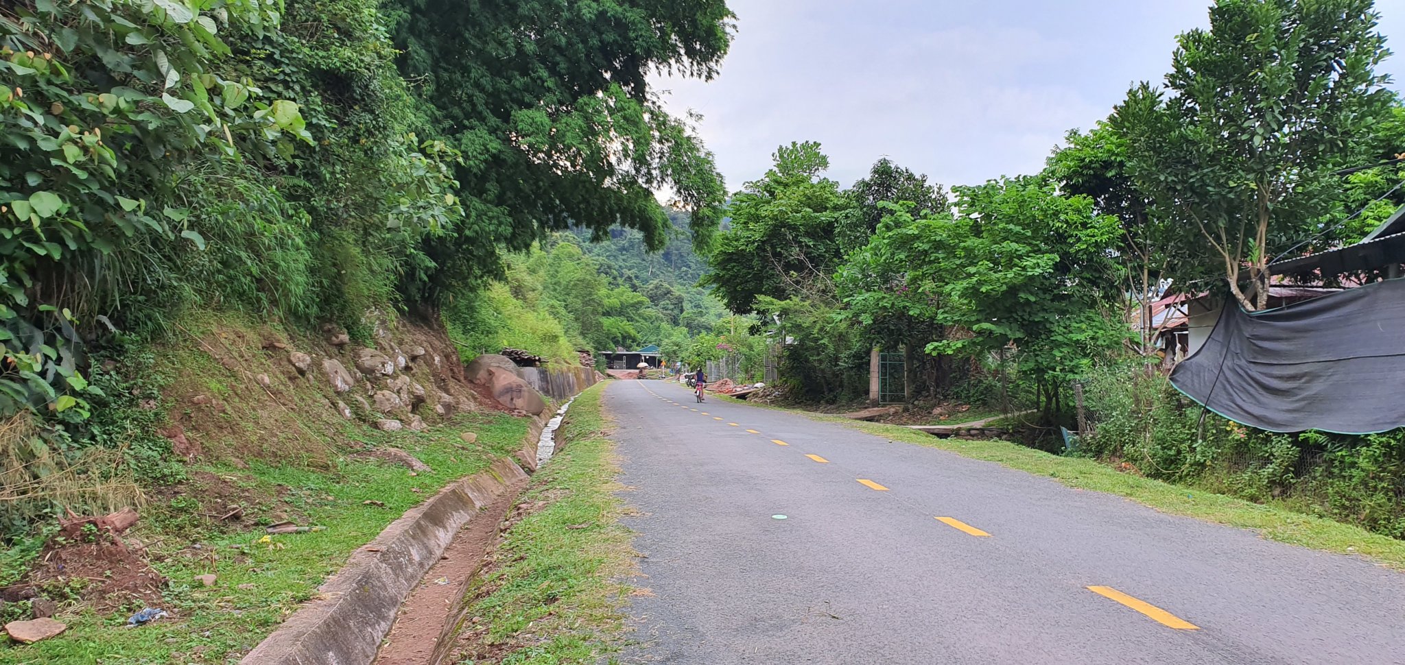 20191004_165333.jpg